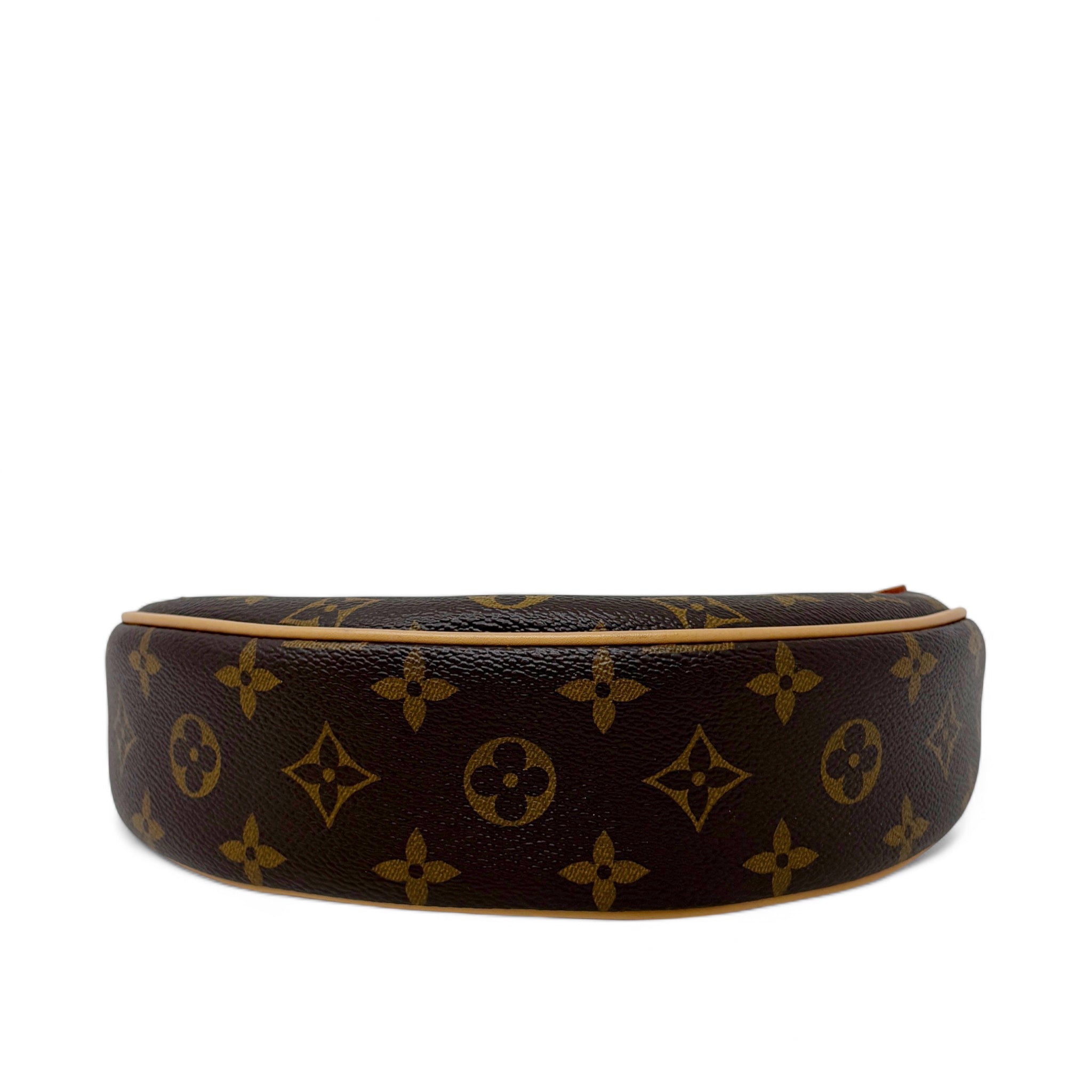 Louis Vuitton Monogram Loop Bag