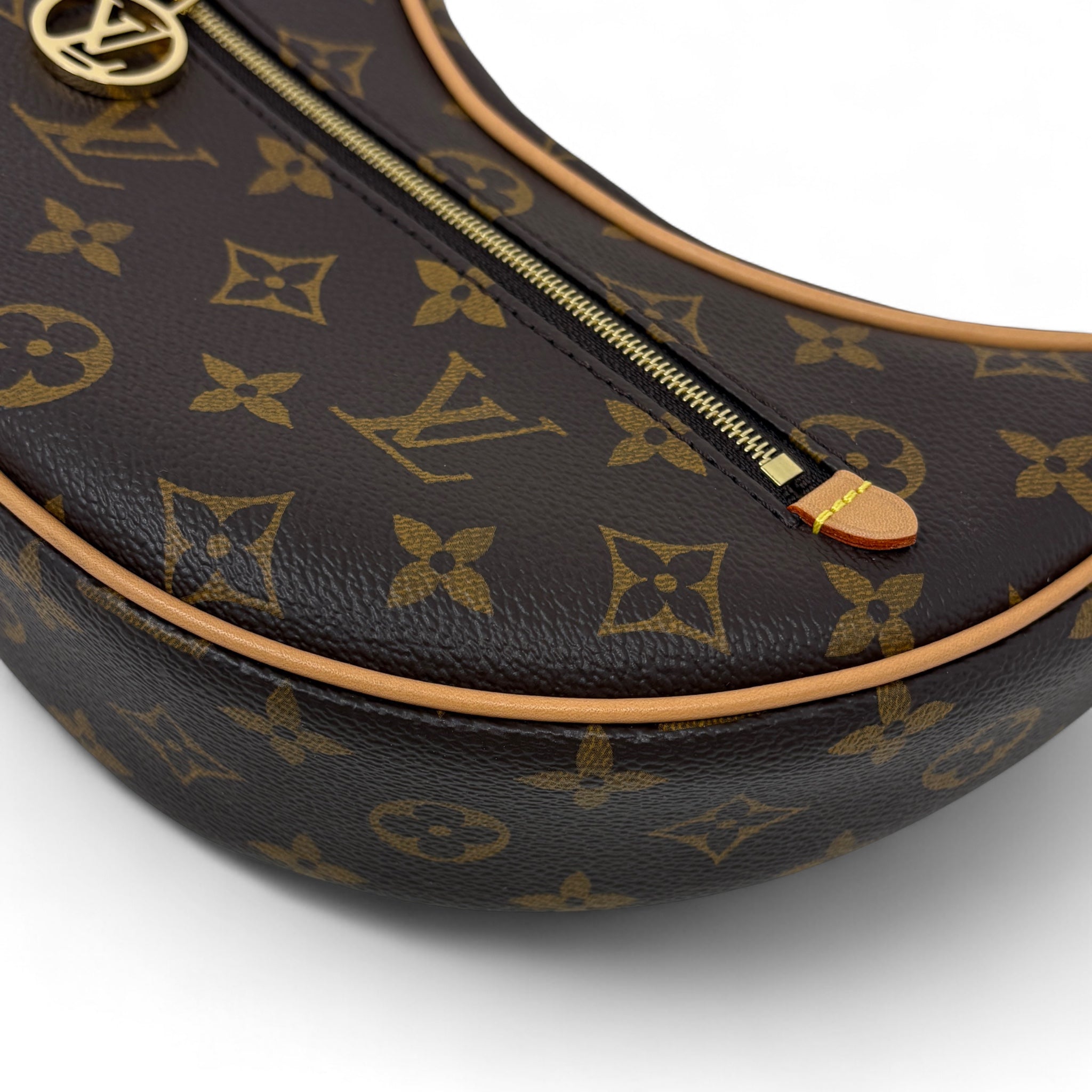 Louis Vuitton Monogram Loop Bag