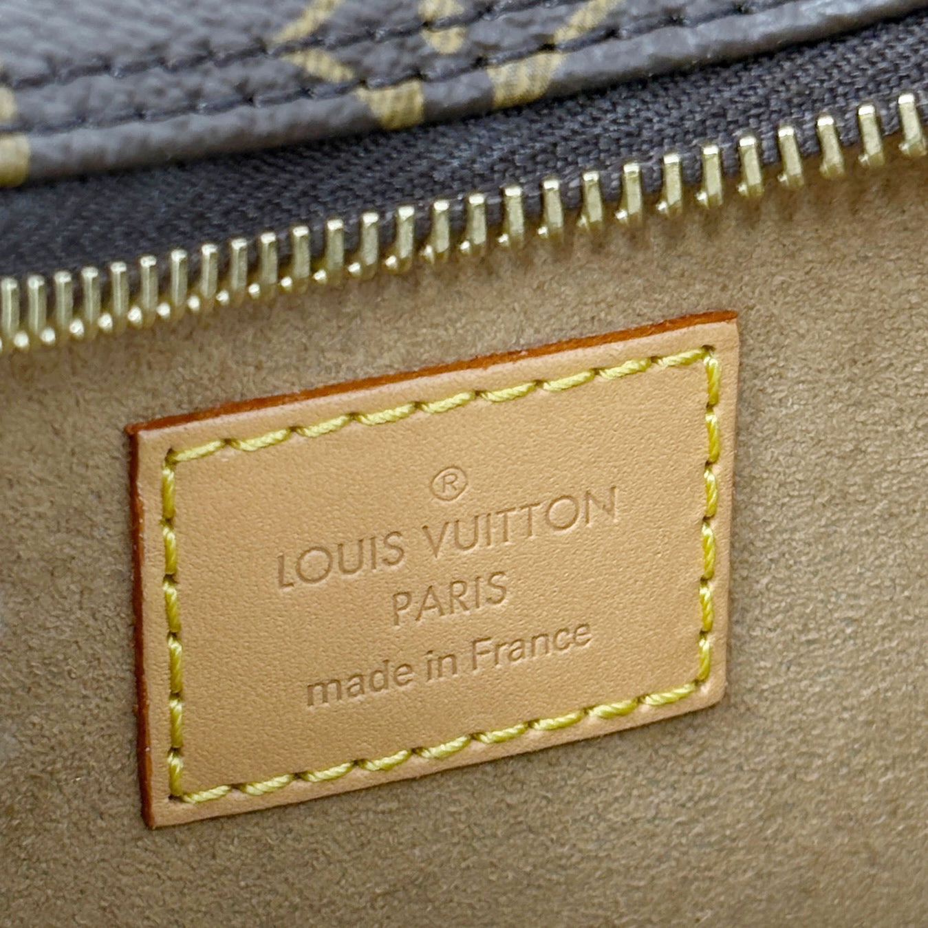 Louis Vuitton Monogram Loop Bag