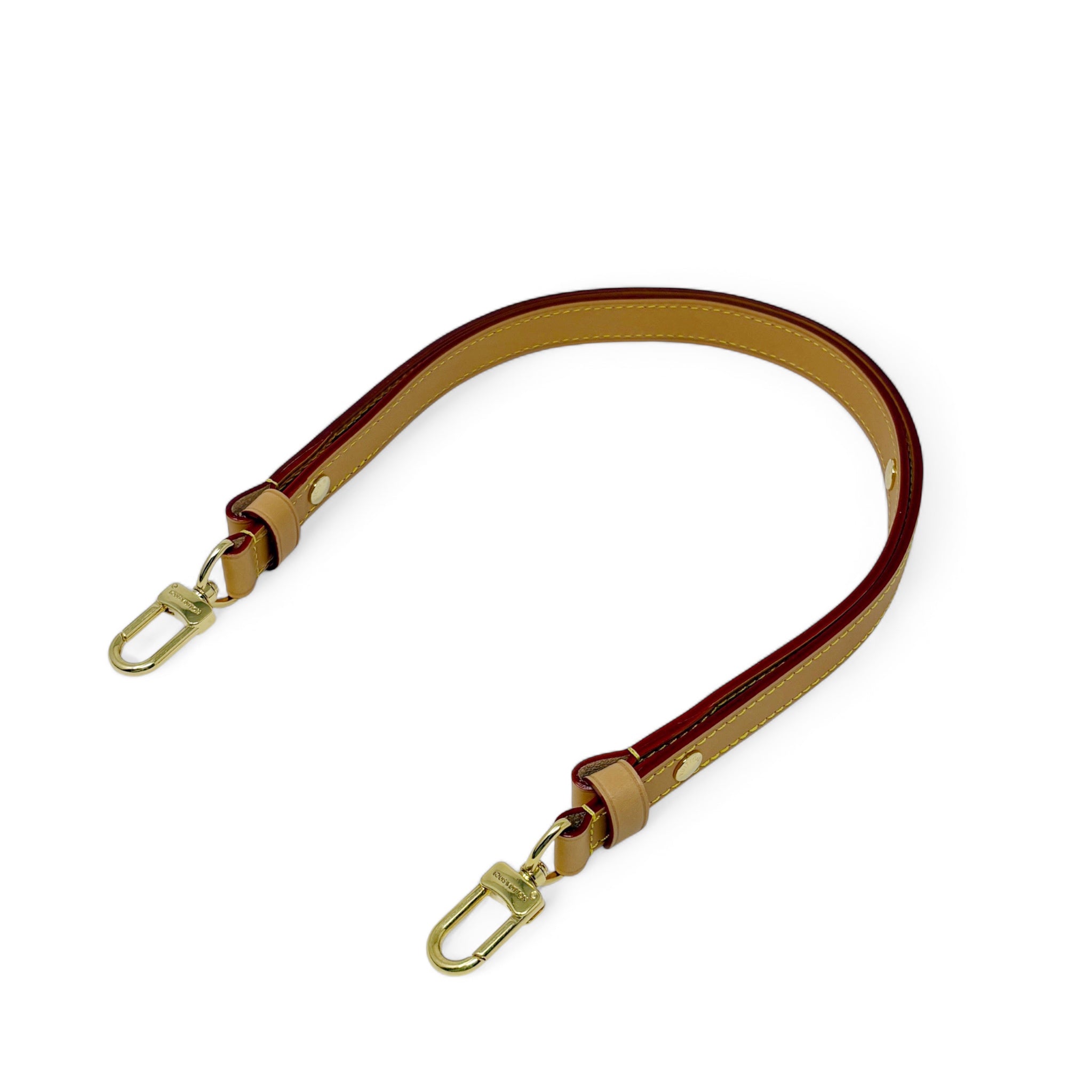 Louis Vuitton Monogram Loop Bag