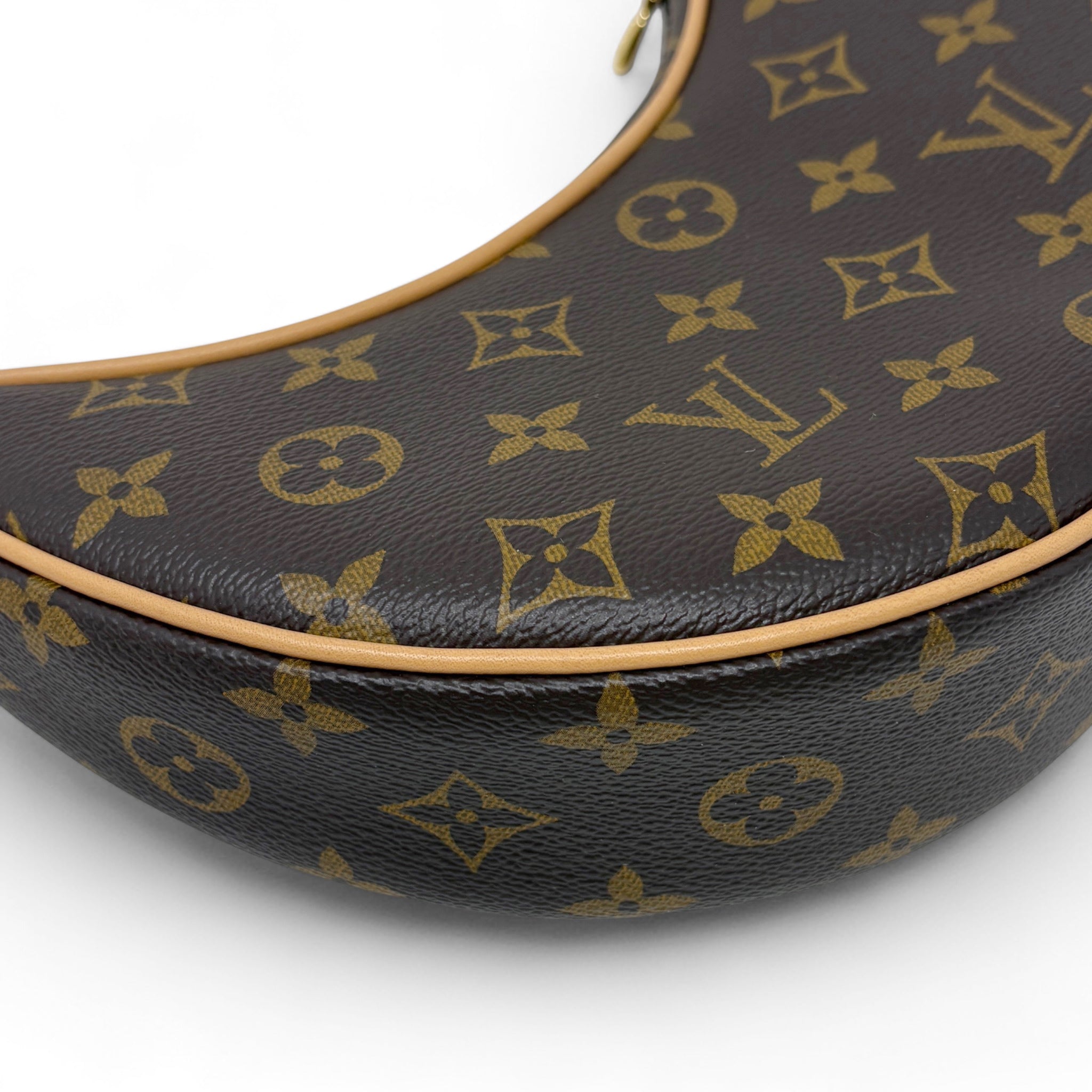 Louis Vuitton Monogram Loop Bag