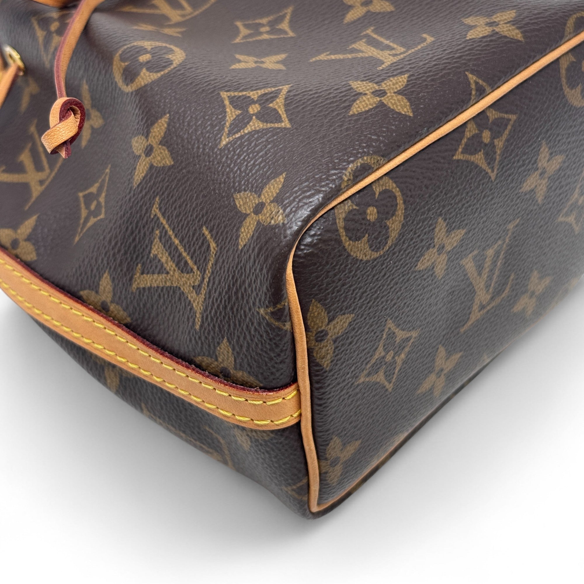 Louis Vuitton Monogram Nano Noe