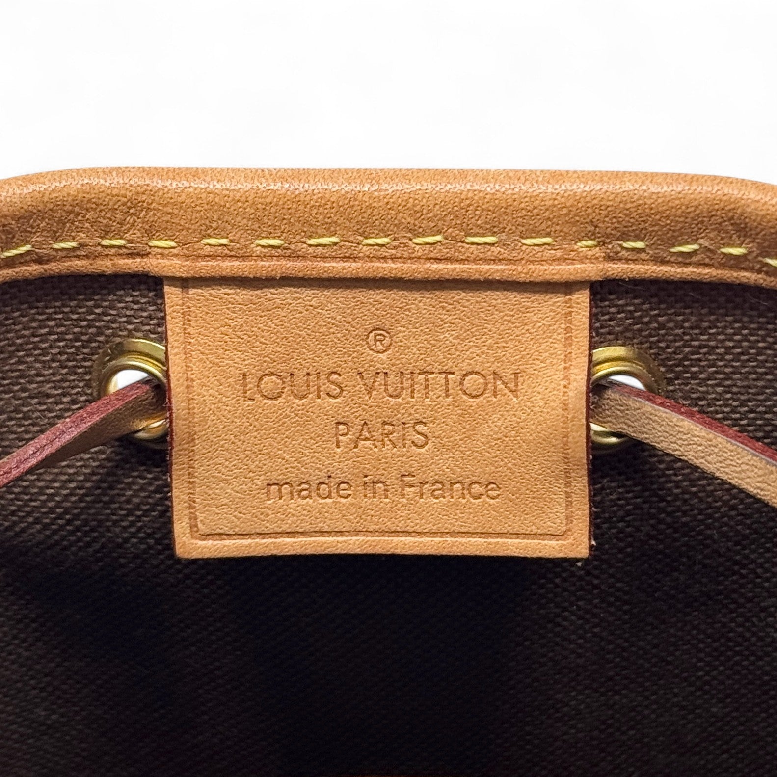 Louis Vuitton Monogram Nano Noe