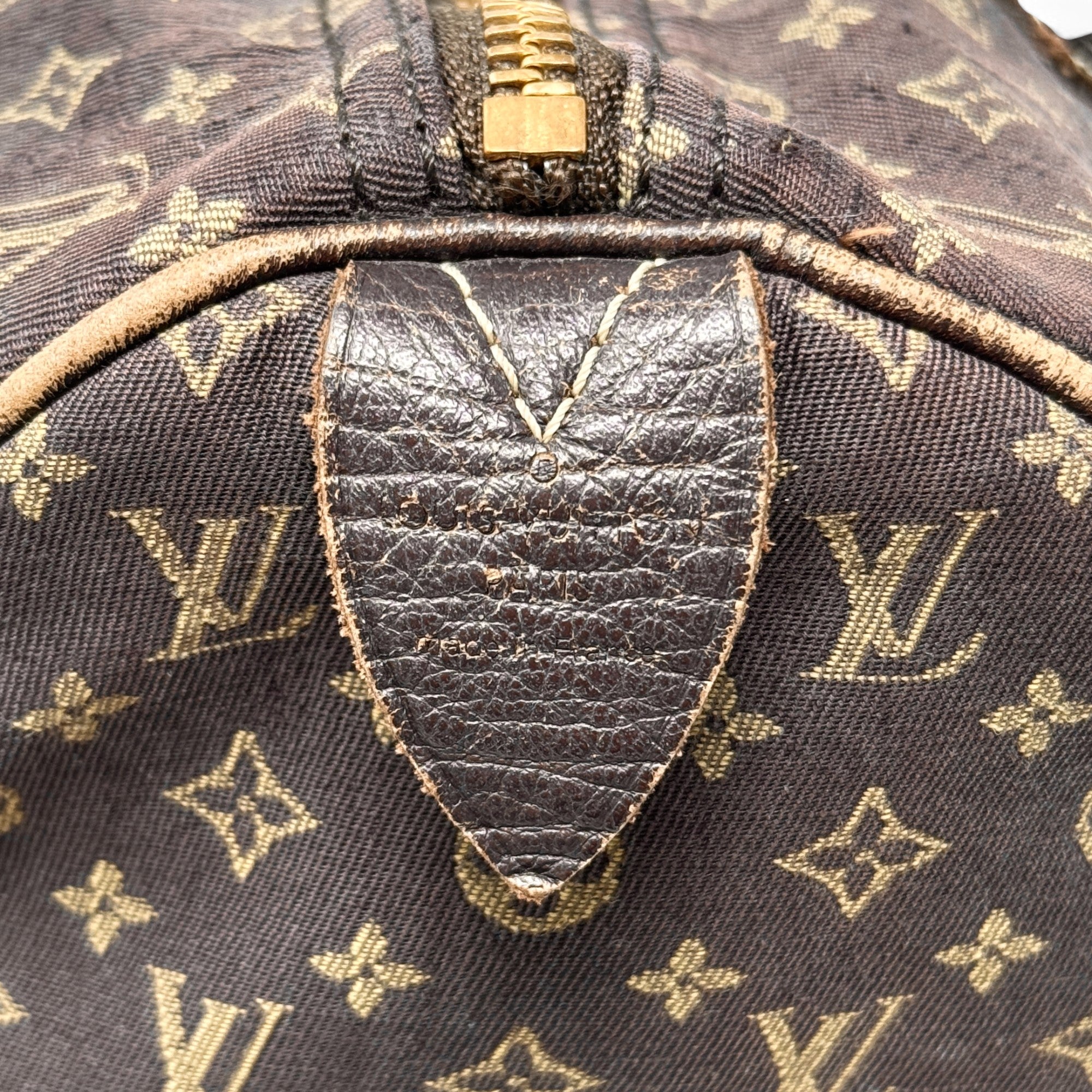Louis Vuitton Ebene Mini Lin Speedy 30