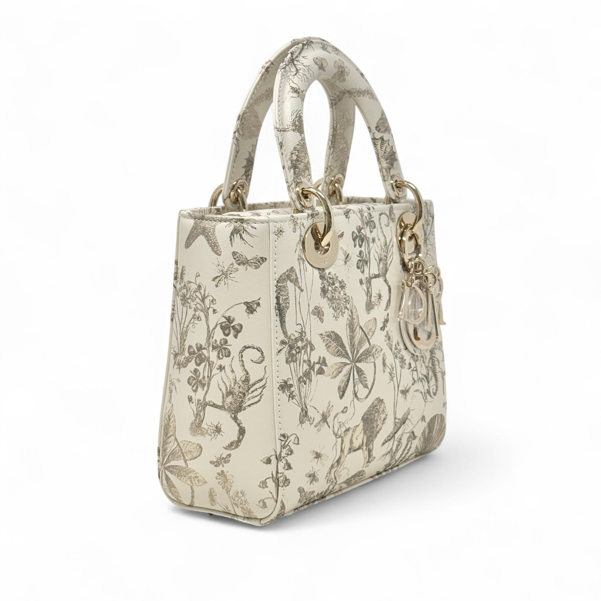 Dior Latte Small Cabinet de Curiosités Lady Dior Bag