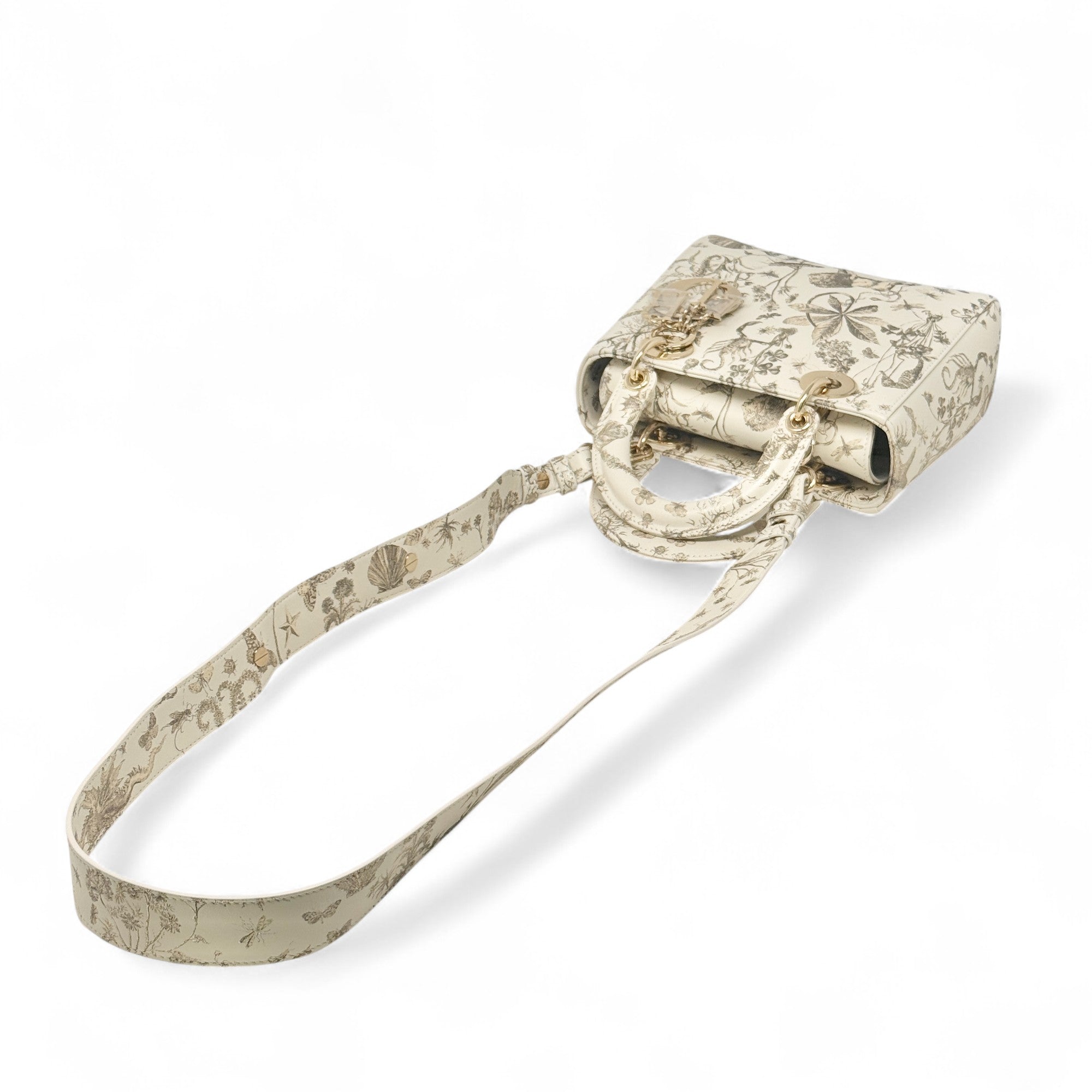 Dior Latte Small Cabinet de Curiosités Lady Dior Bag