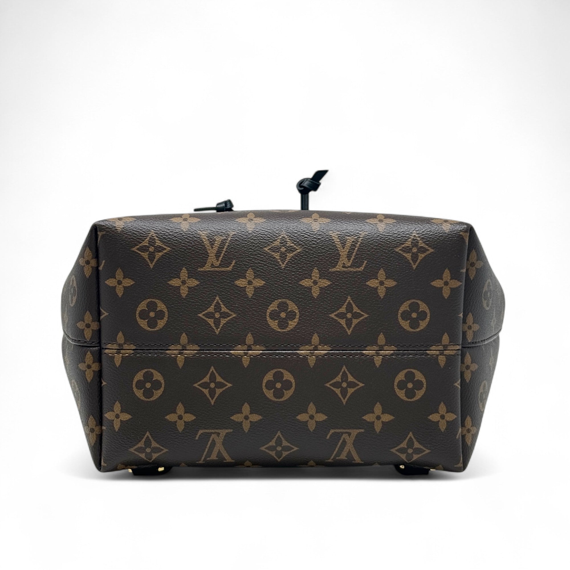 Louis Vuitton Monogram Montsouris PM