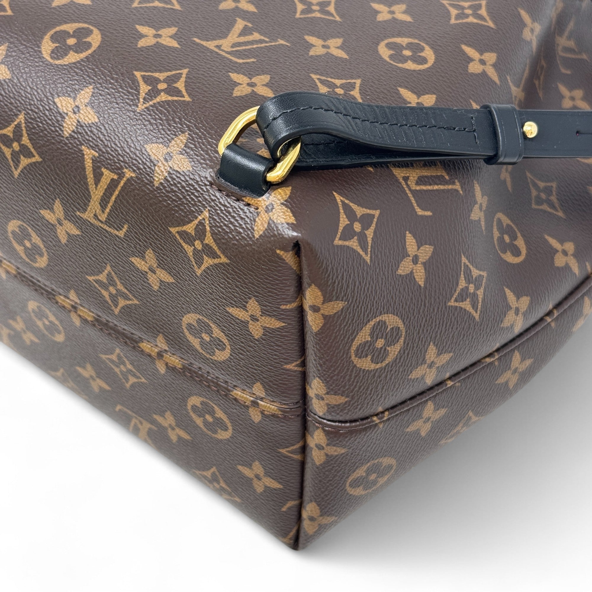 Louis Vuitton Monogram Montsouris PM
