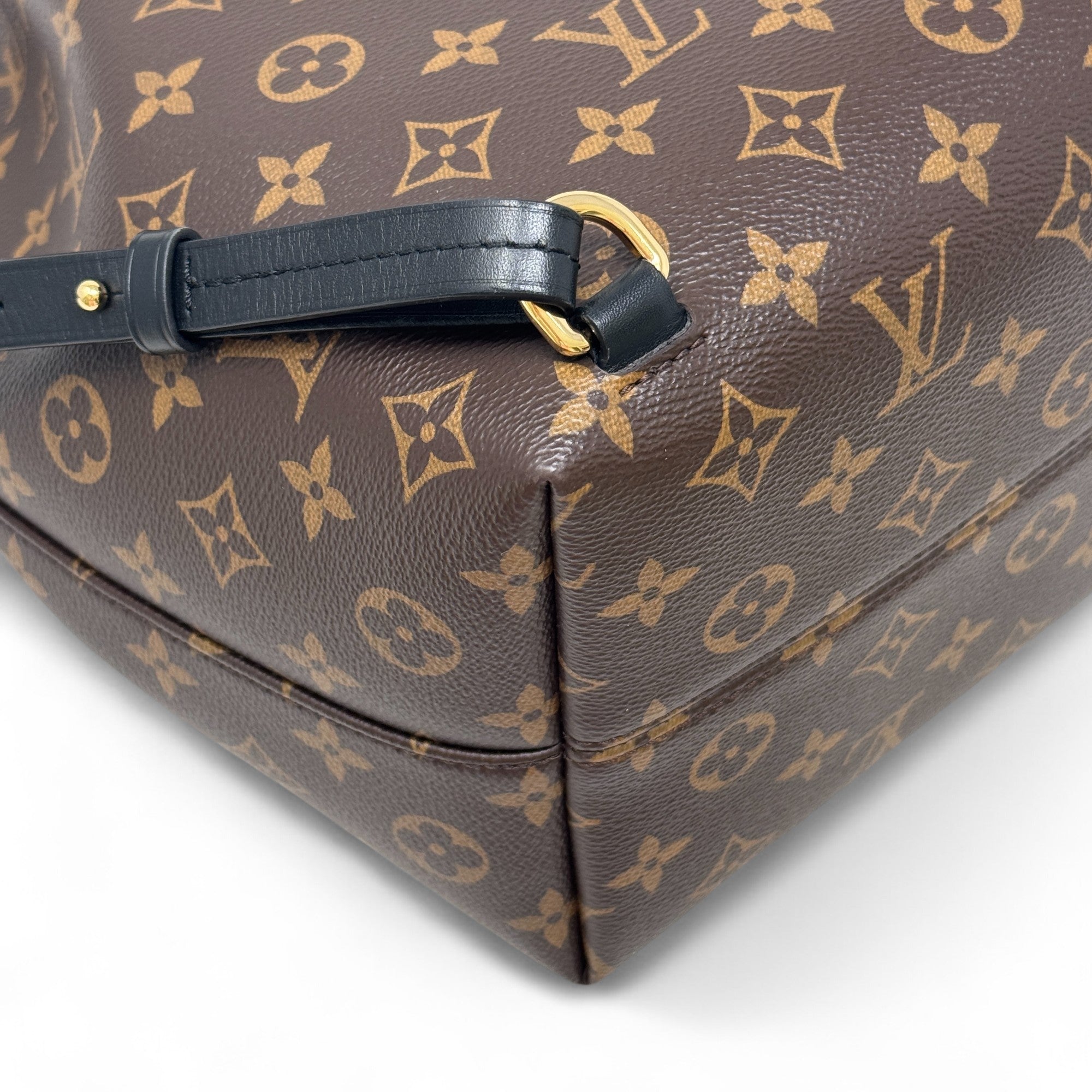 Louis Vuitton Monogram Montsouris PM