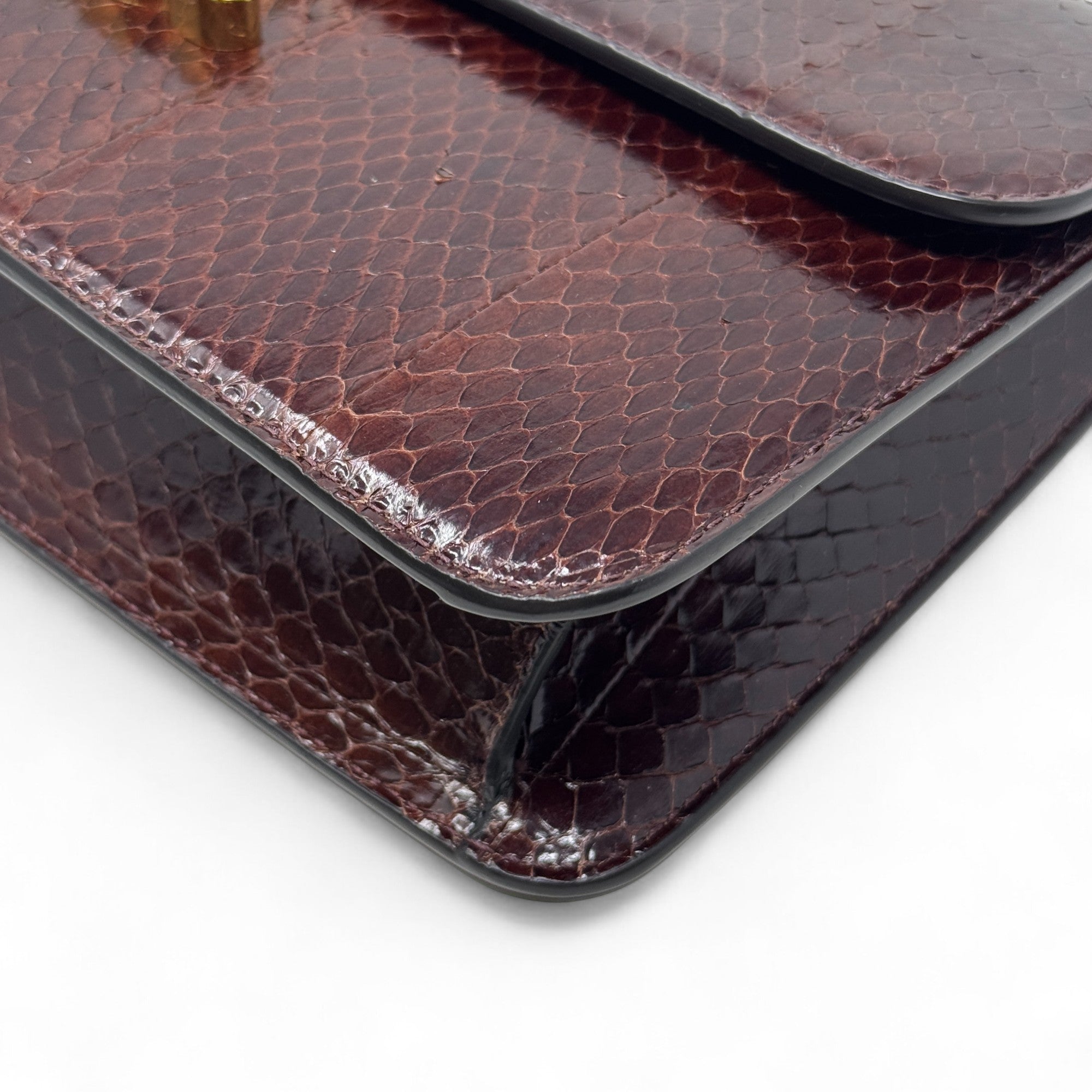 Celine Brown Snakeskin Triomphe Clutch