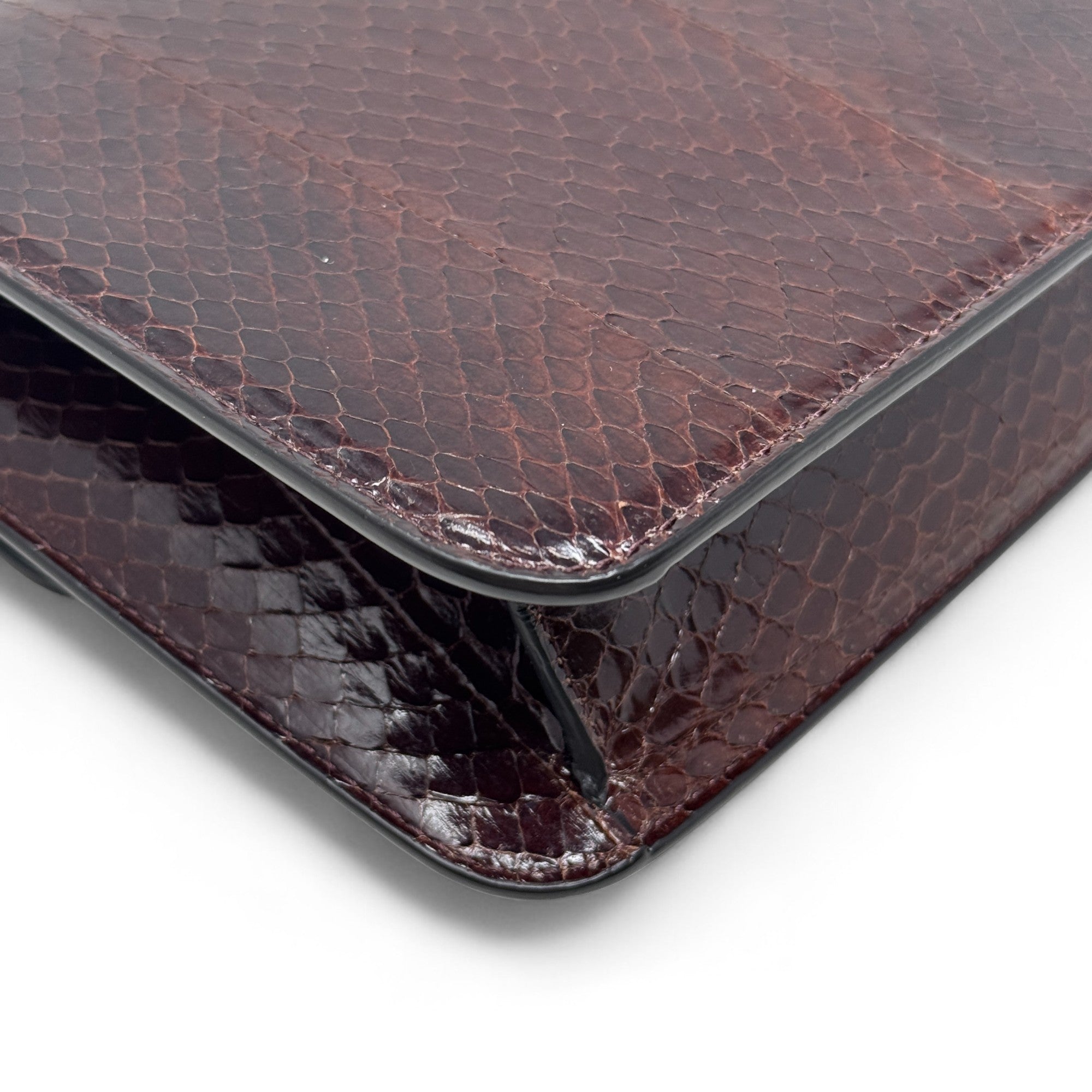 Celine Brown Snakeskin Triomphe Clutch
