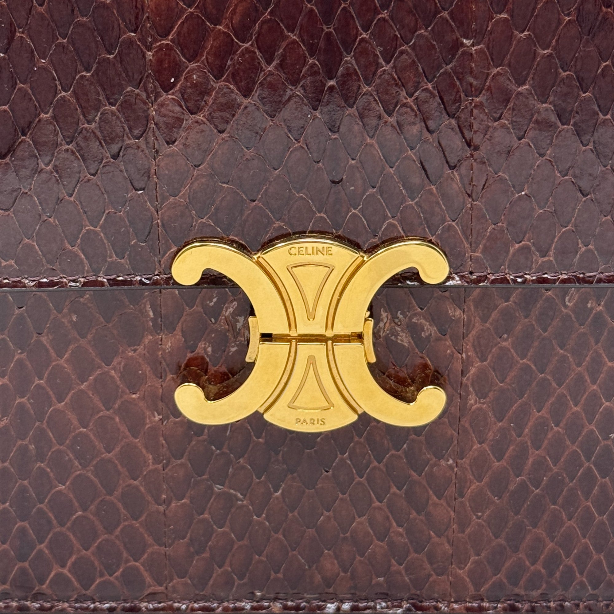 Celine Brown Snakeskin Triomphe Clutch