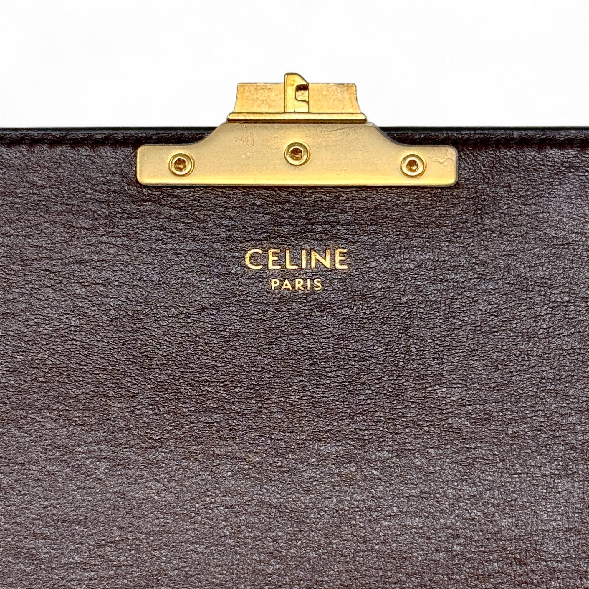 Celine Brown Snakeskin Triomphe Clutch