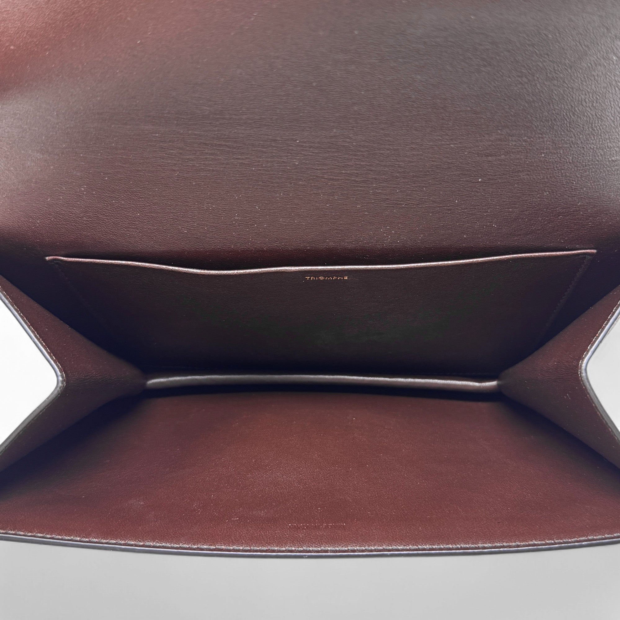 Celine Brown Snakeskin Triomphe Clutch
