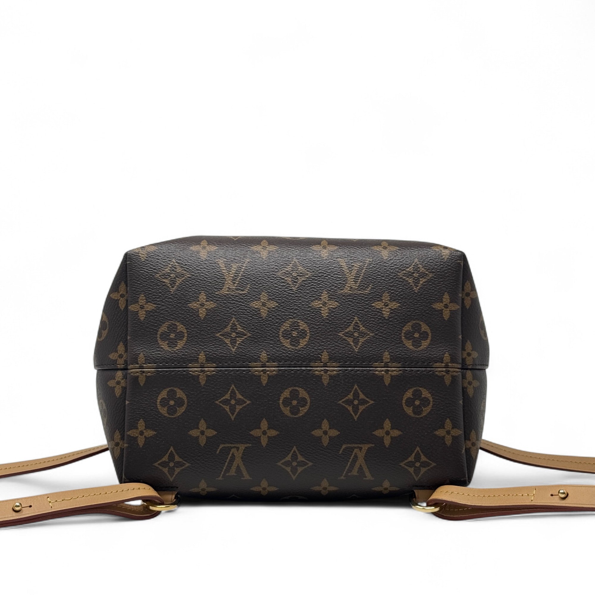 Louis Vuitton Monogram Montsouris Backpack PM