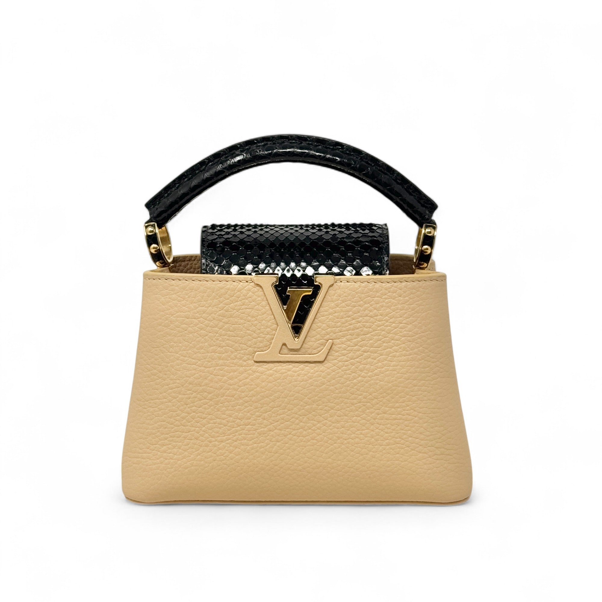 Louis Vuitton Python Mini Capucines Bag