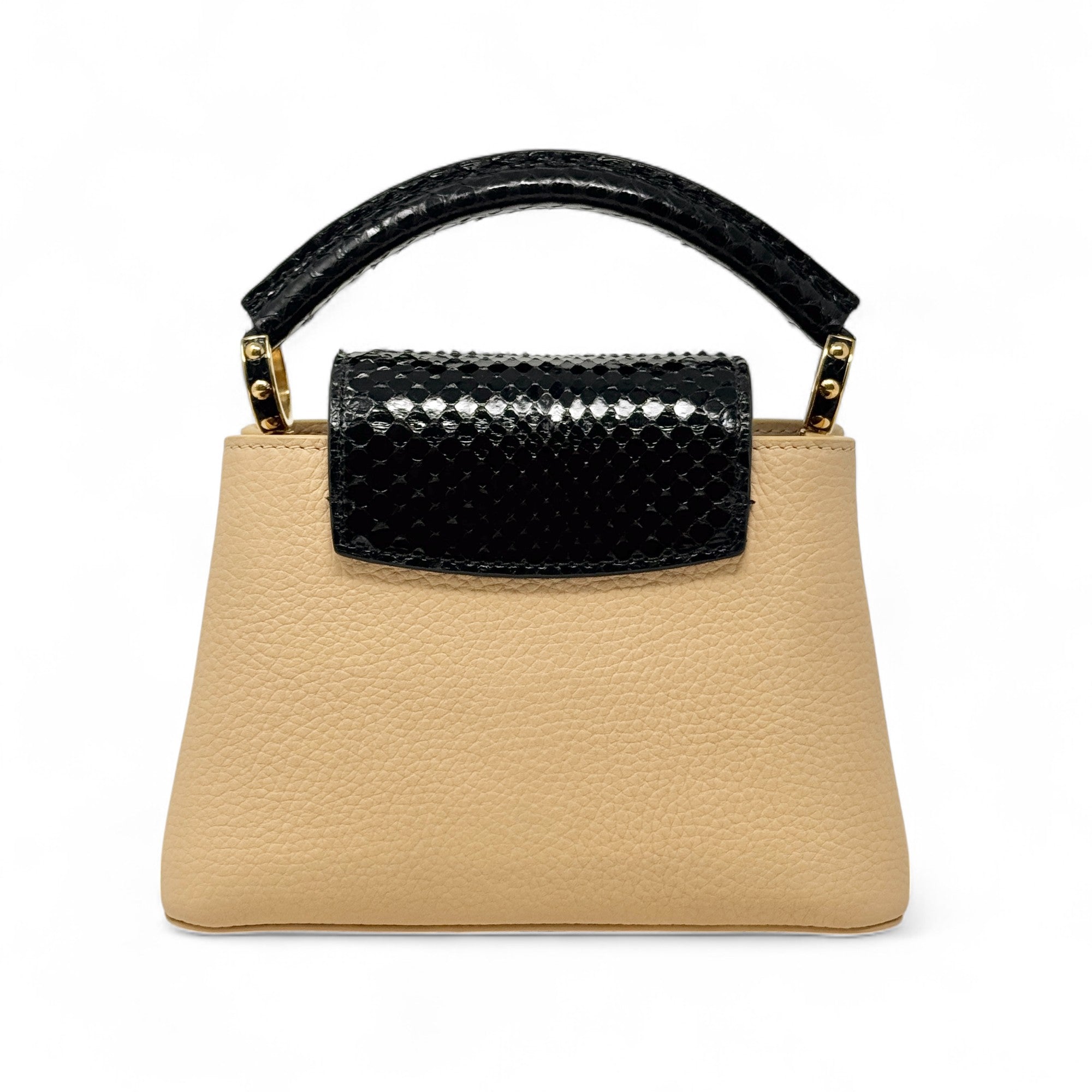 Louis Vuitton Python Mini Capucines Bag