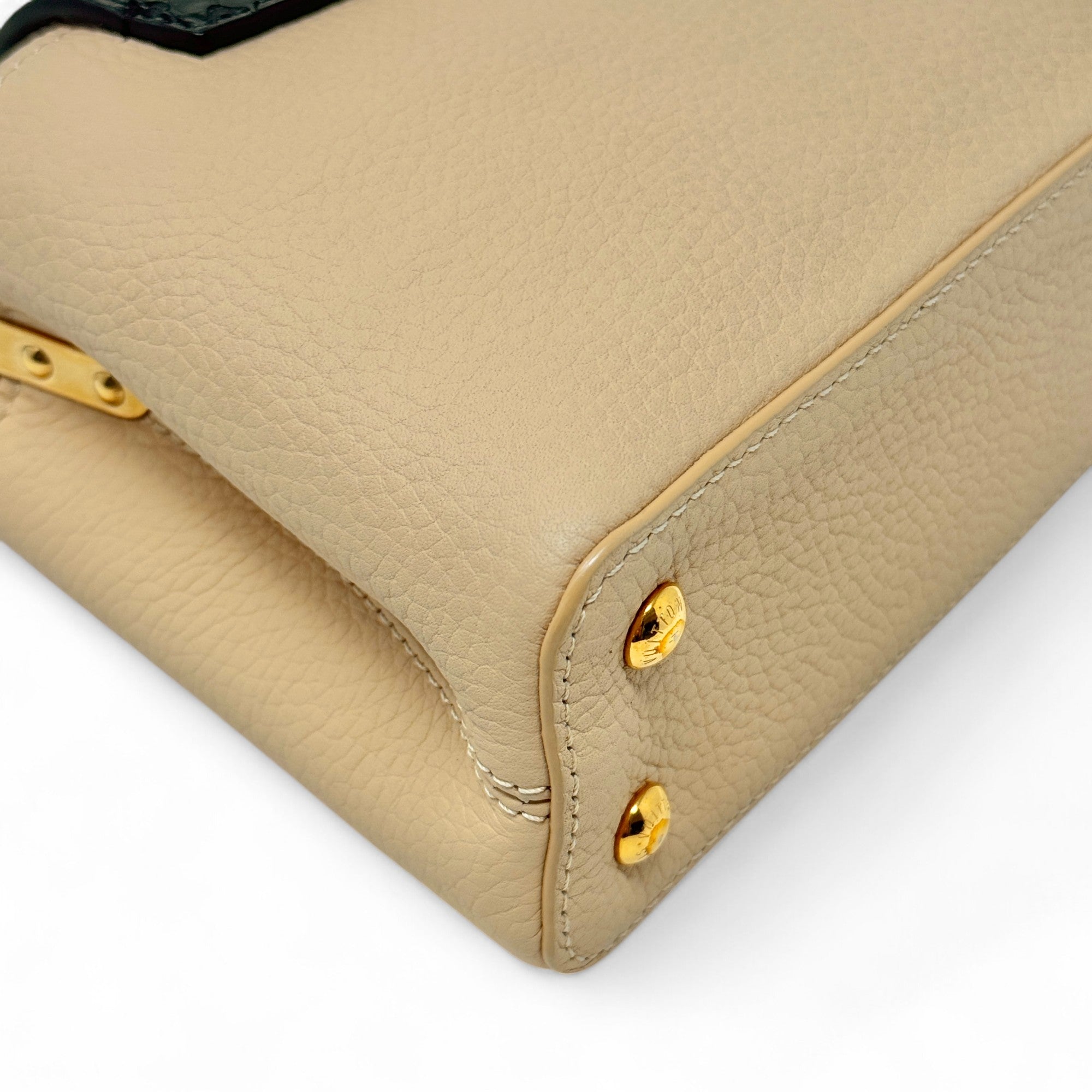 Louis Vuitton Python Mini Capucines Bag