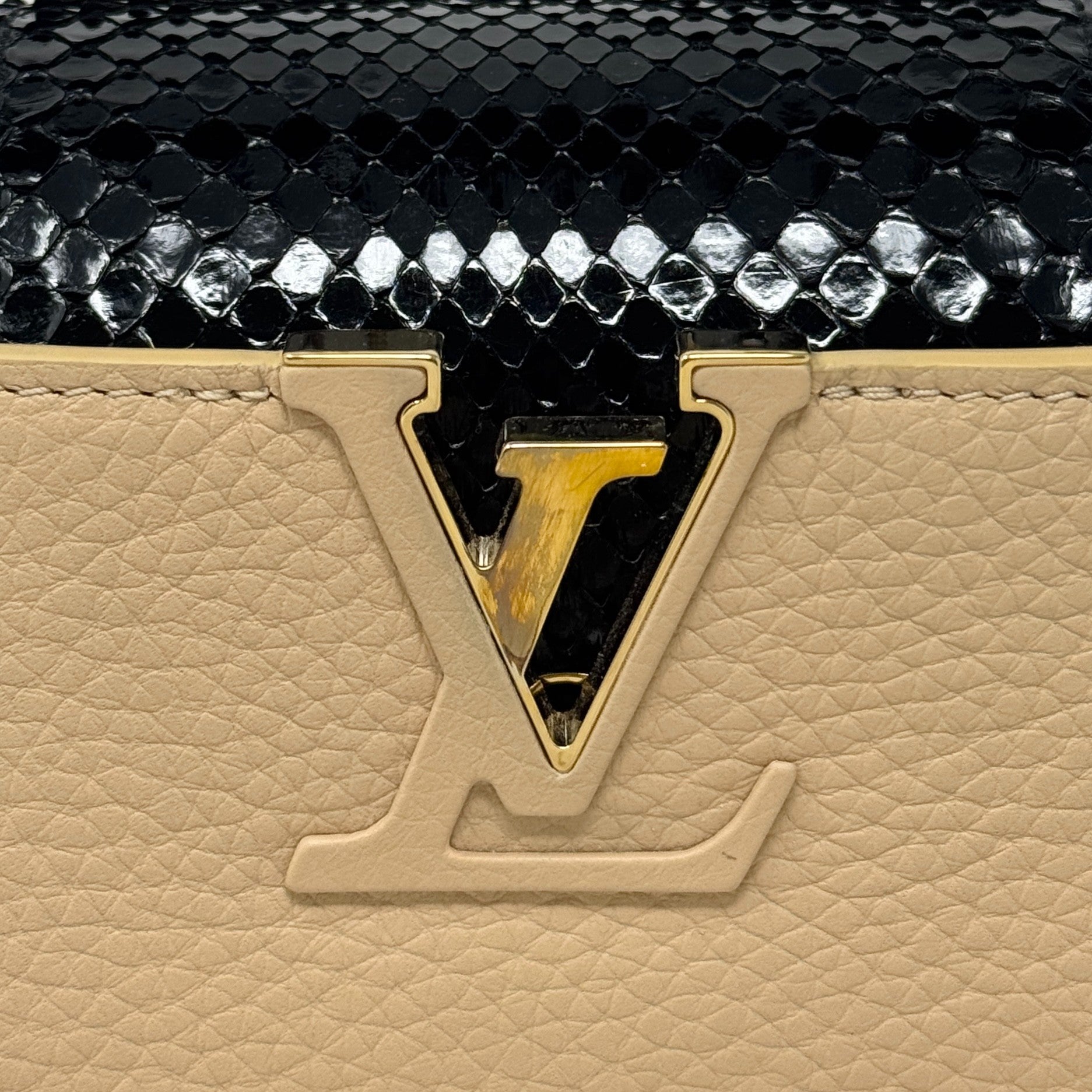 Louis Vuitton Python Mini Capucines Bag
