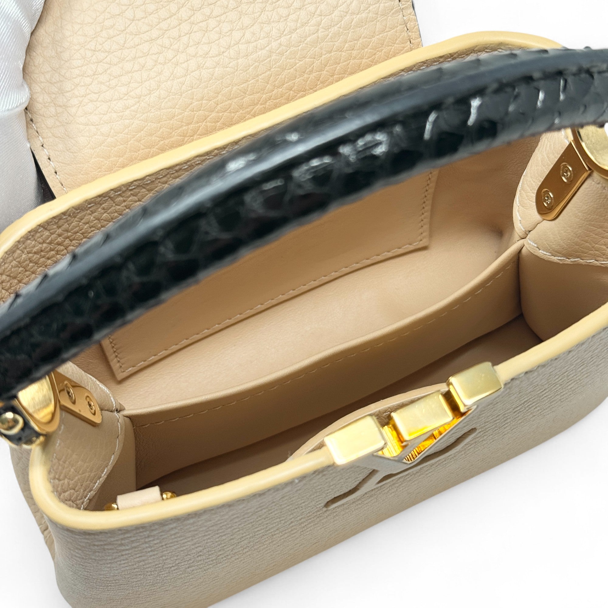Louis Vuitton Python Mini Capucines Bag
