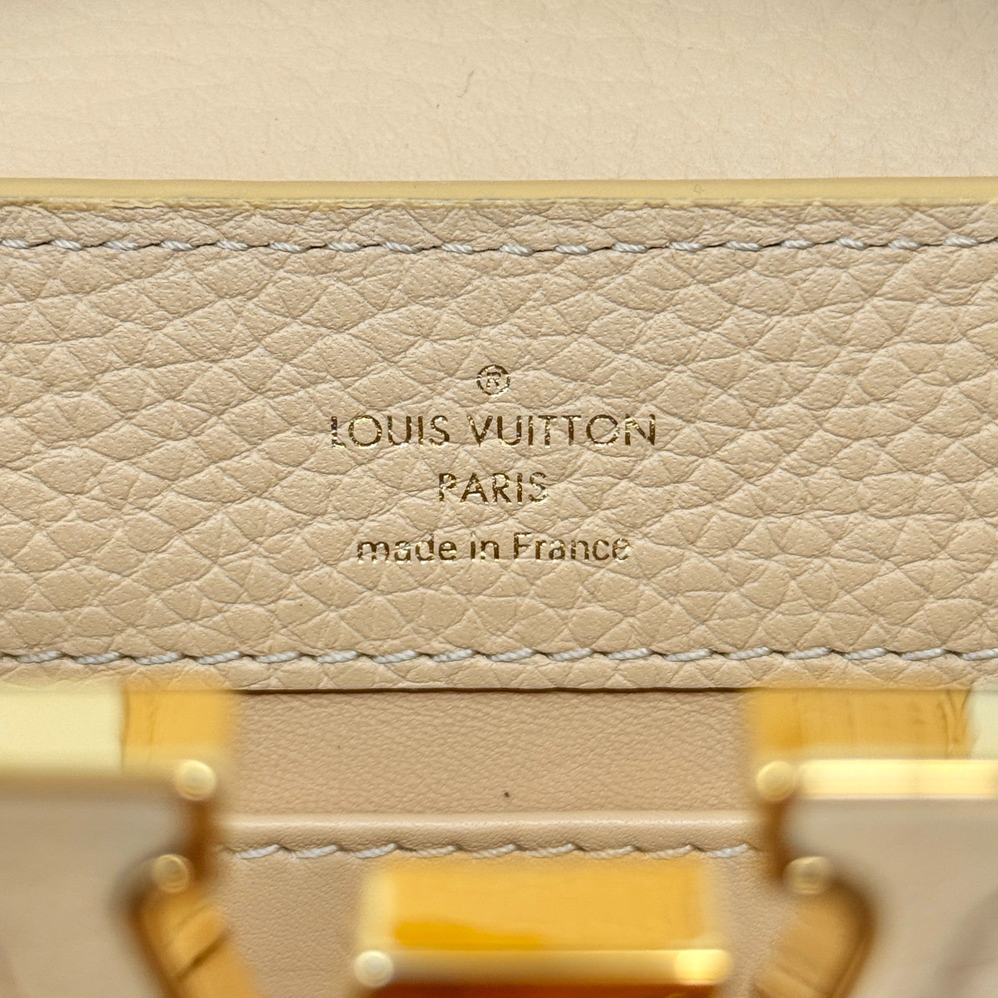 Louis Vuitton Python Mini Capucines Bag