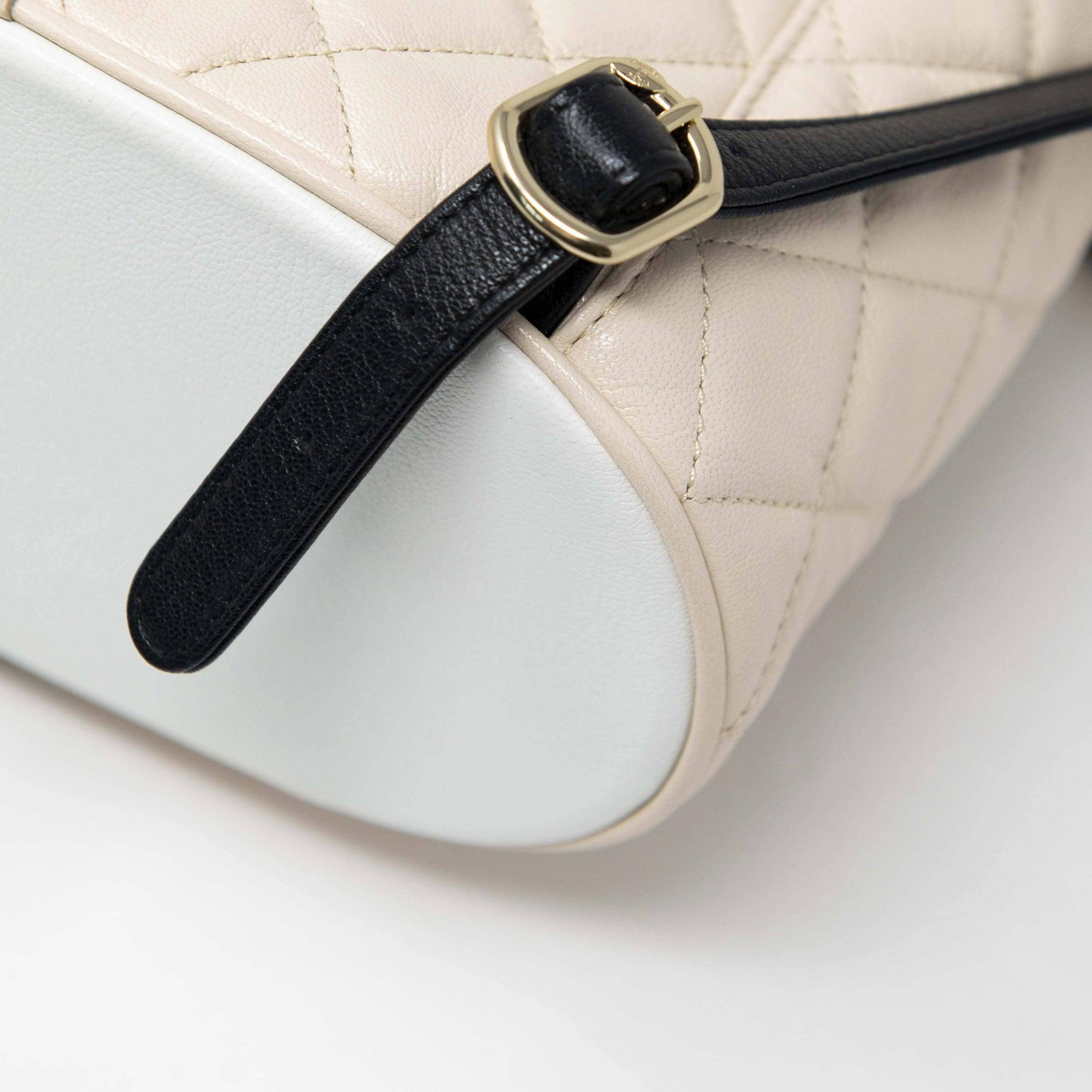 Chanel Tricolour Medium Duma Backpack