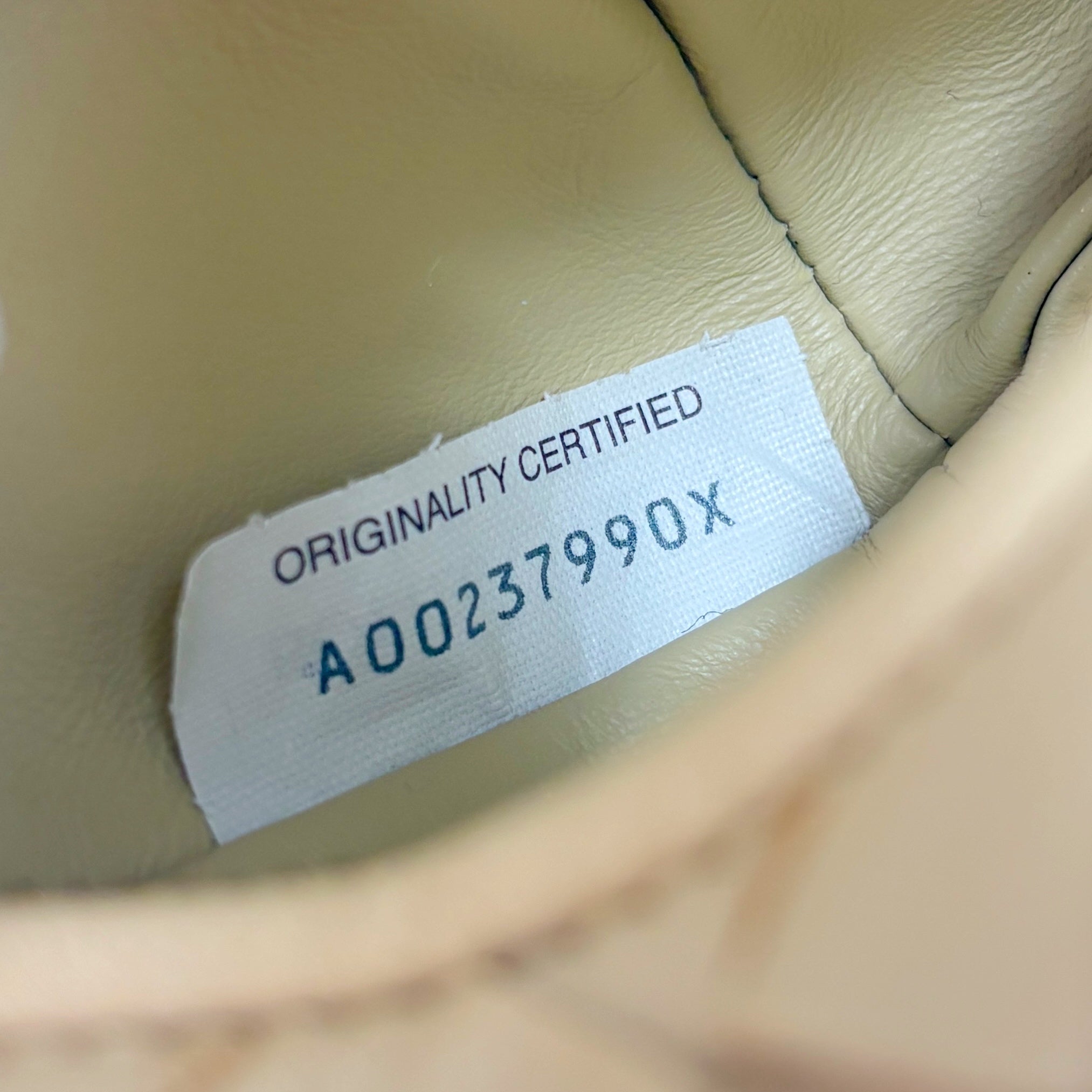 Bottega Veneta Beige Candy Jodie