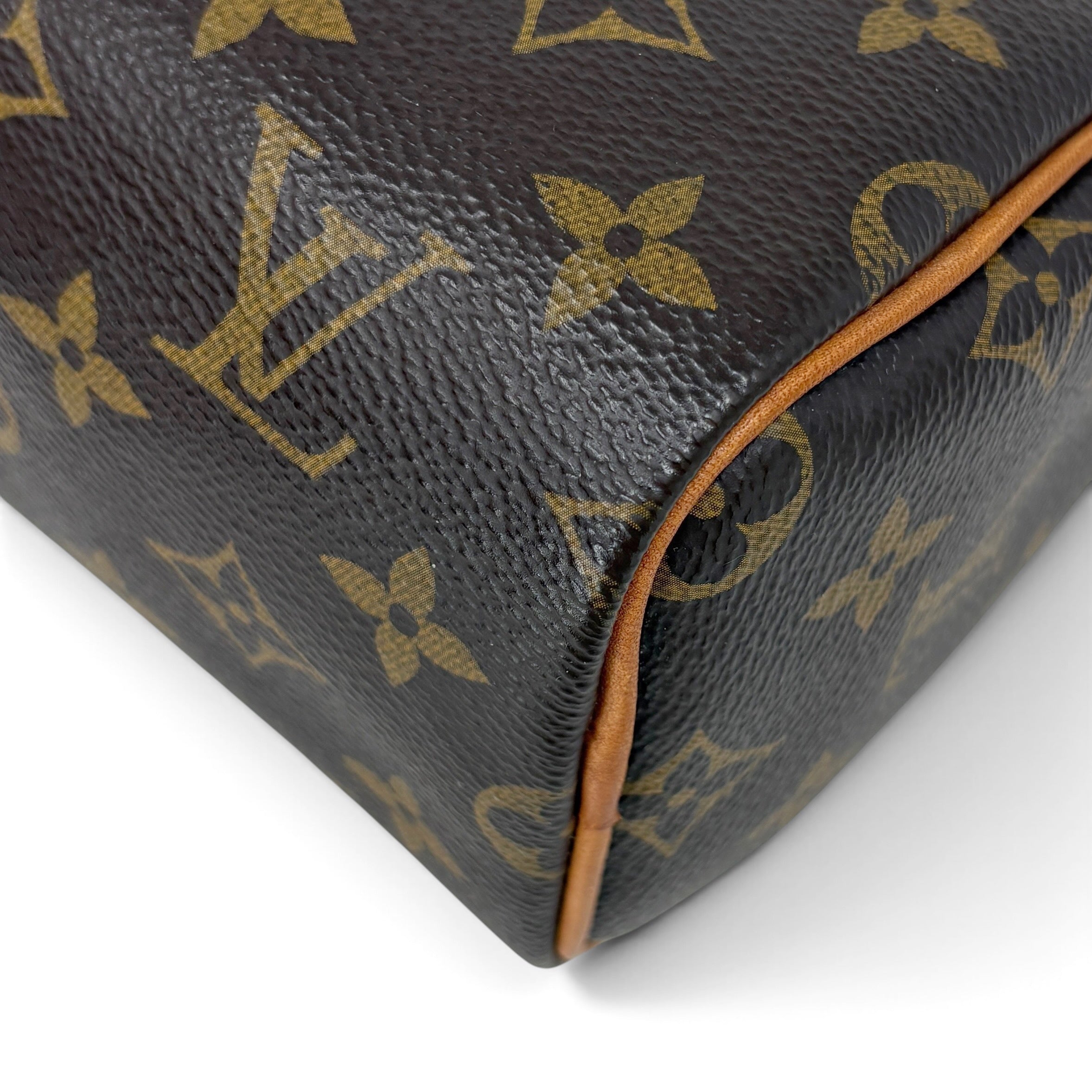 Louis Vuitton Monogram Nano Speedy