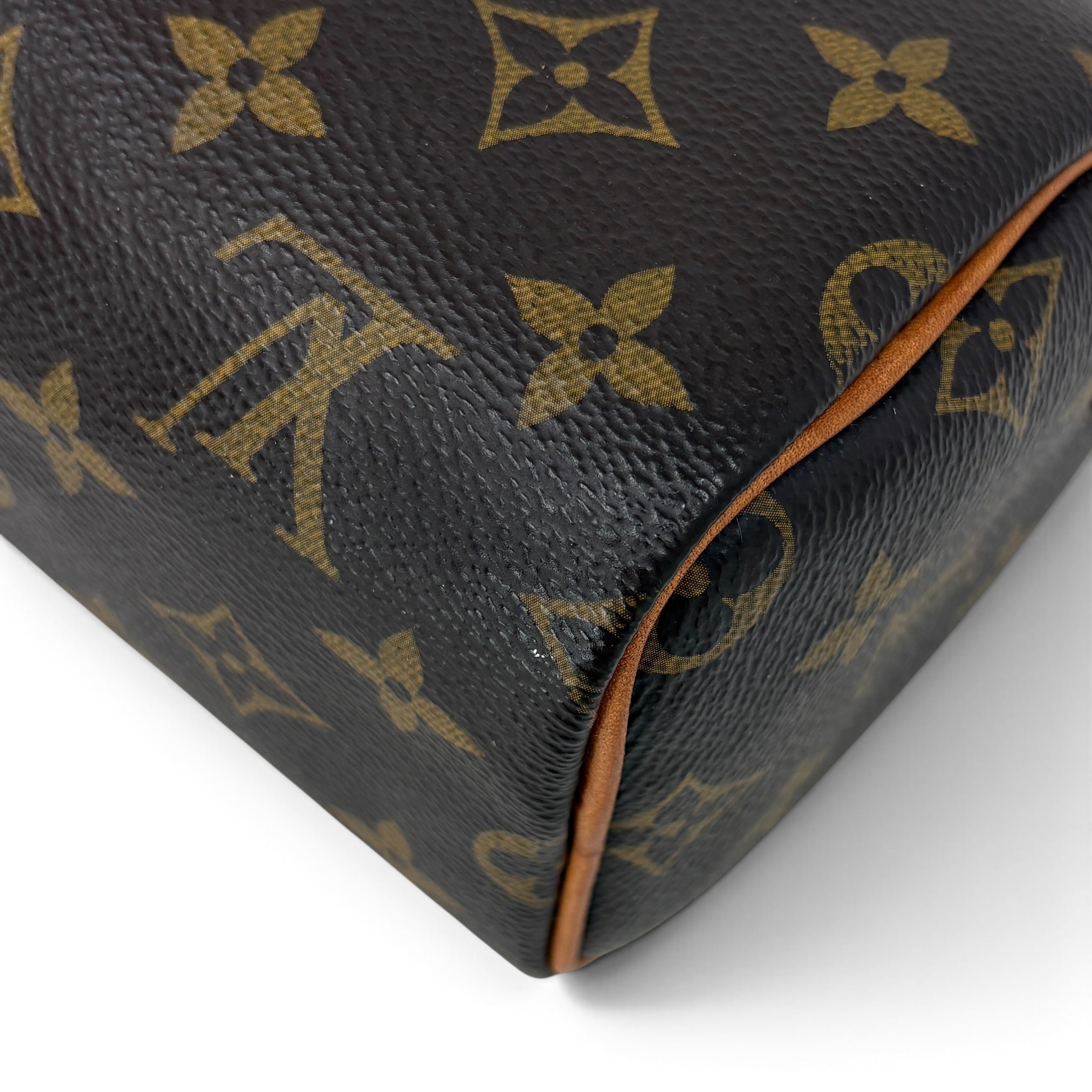 Louis Vuitton Monogram Nano Speedy