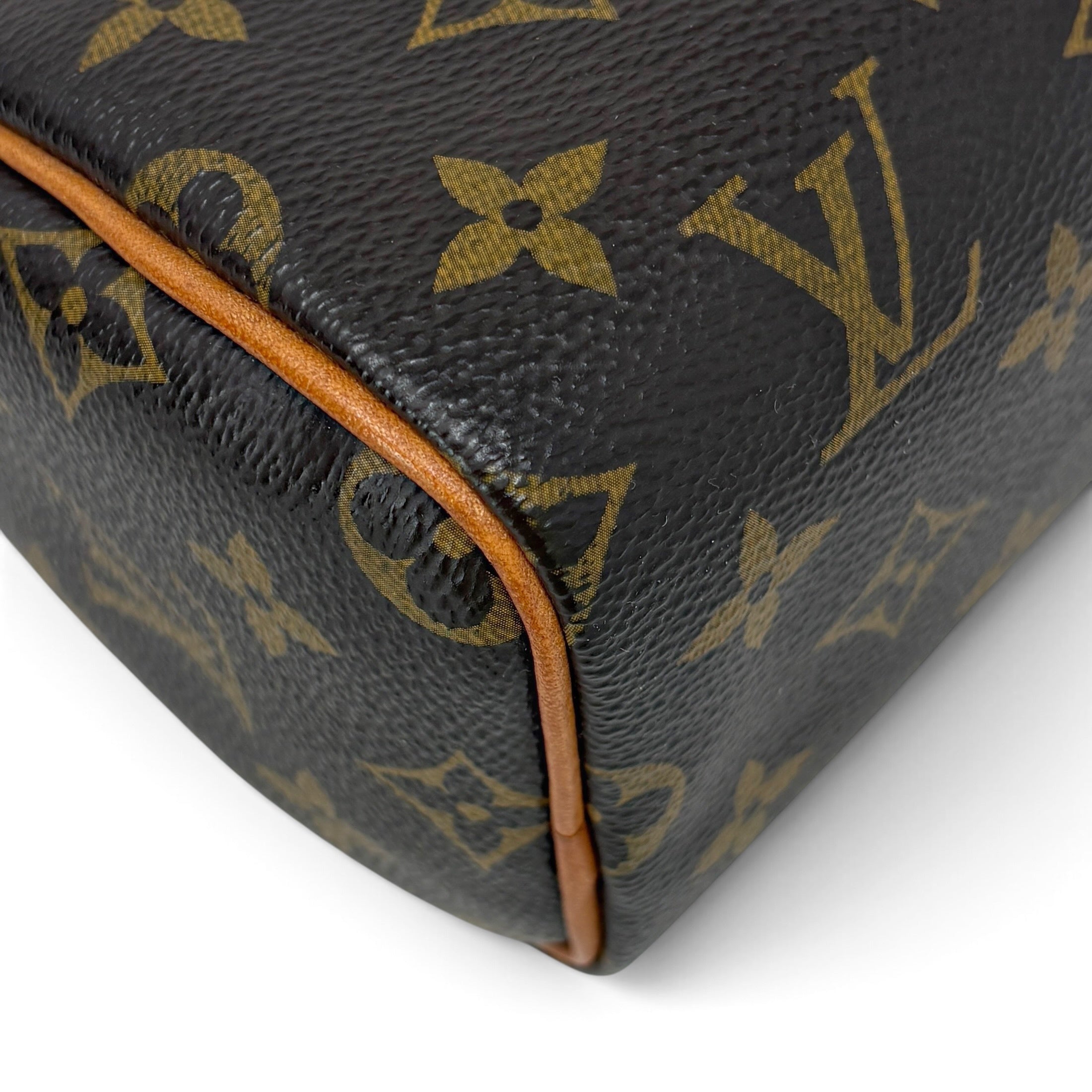 Louis Vuitton Monogram Nano Speedy