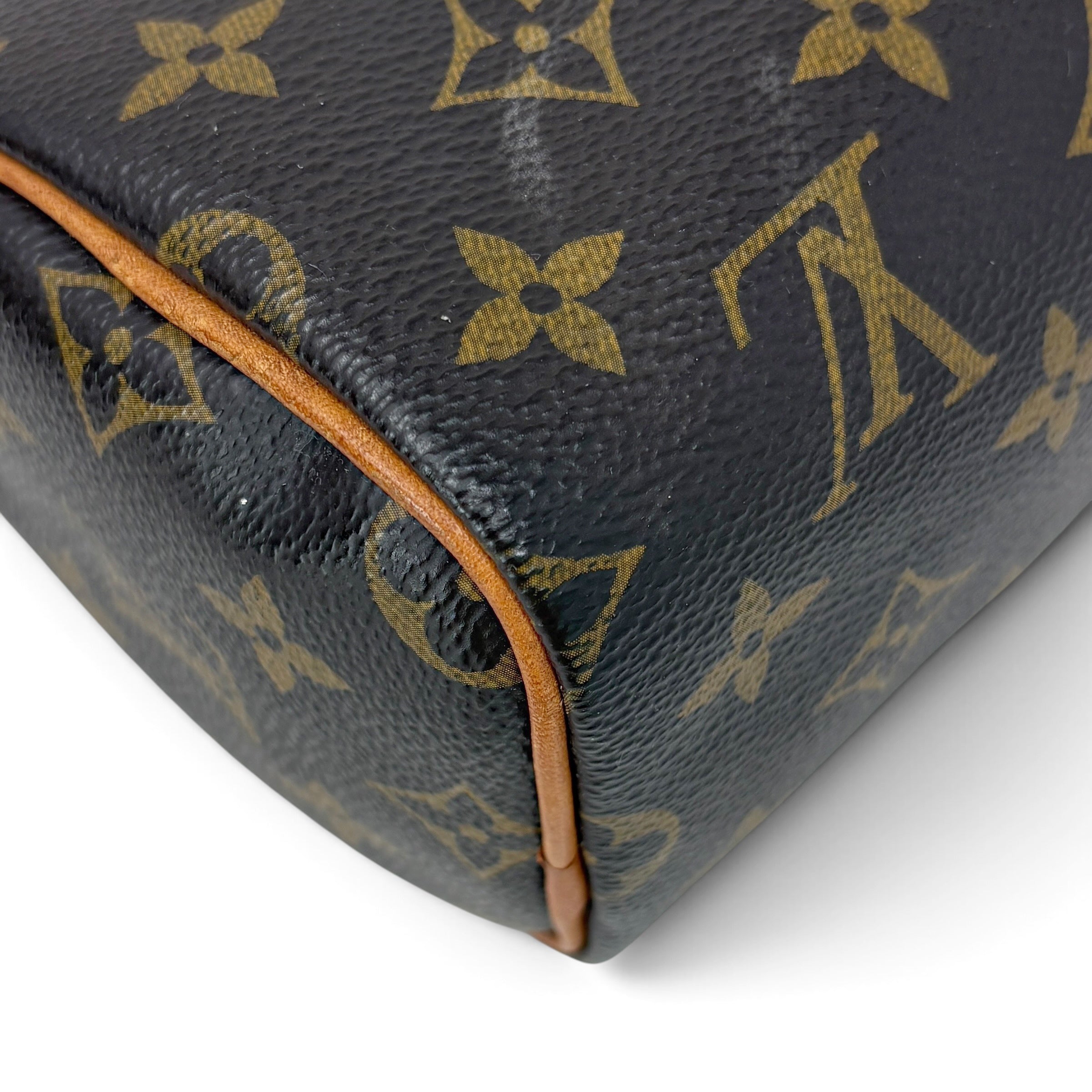 Louis Vuitton Monogram Nano Speedy