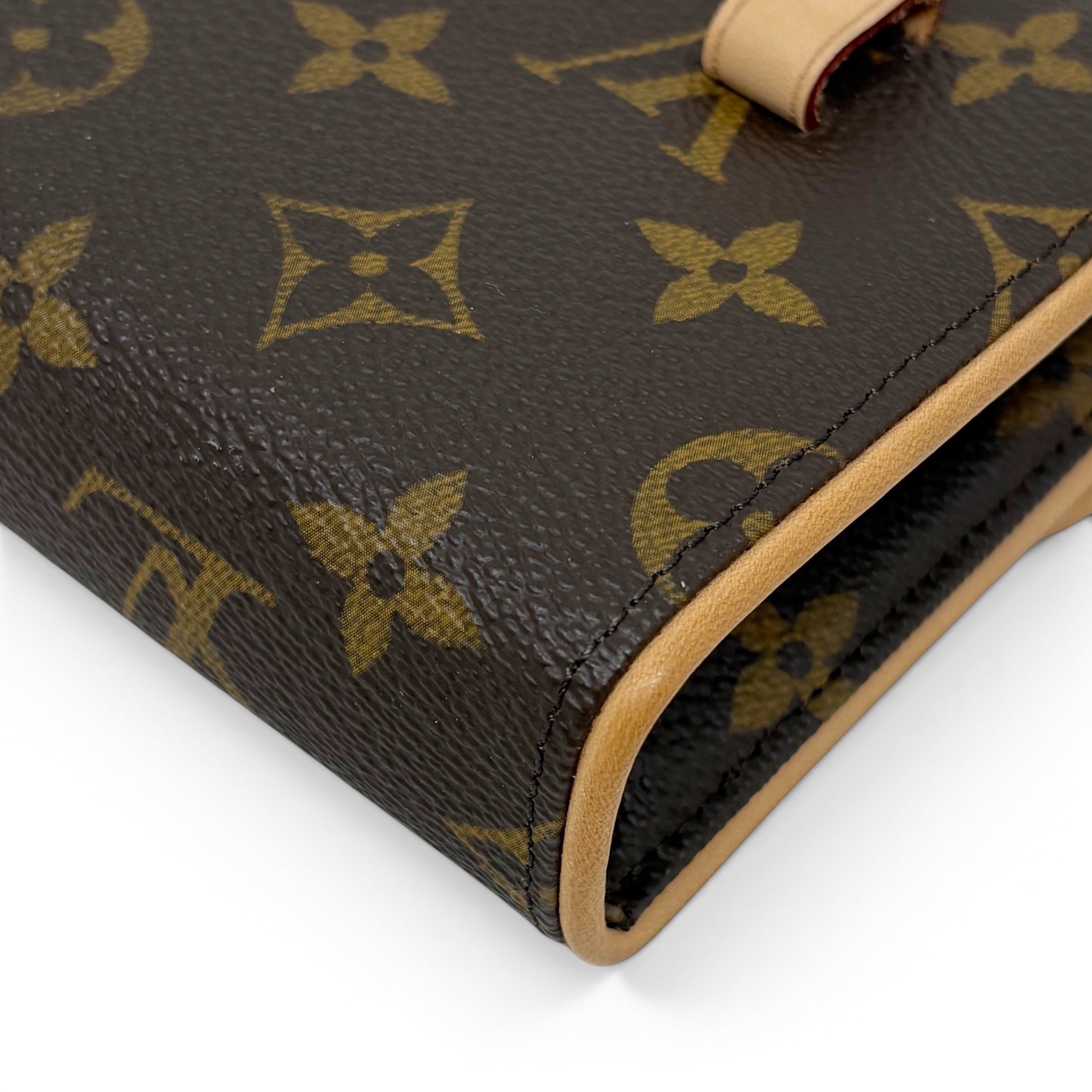 Louis Vuitton Monogram Florentine Bag