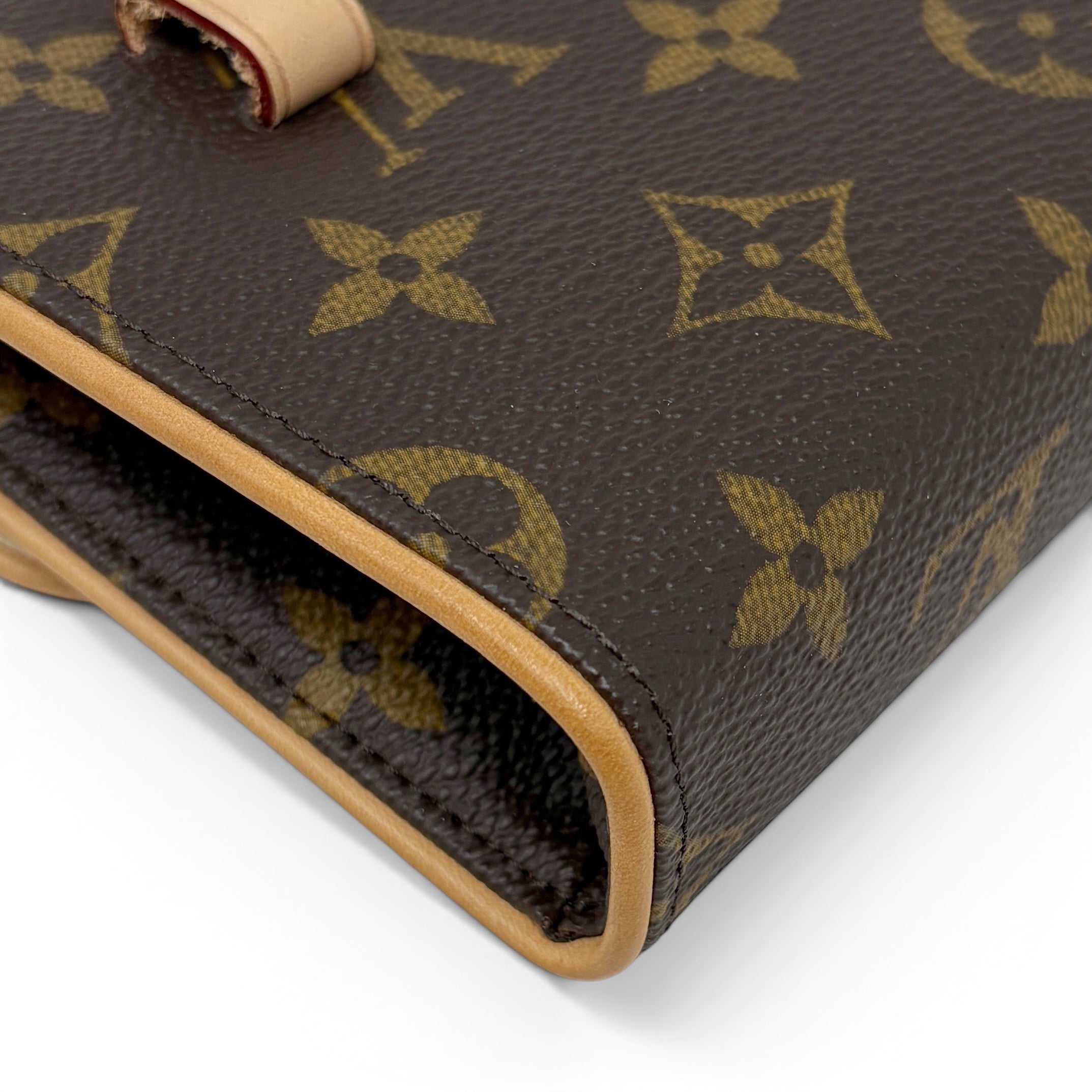Louis Vuitton Monogram Florentine Bag