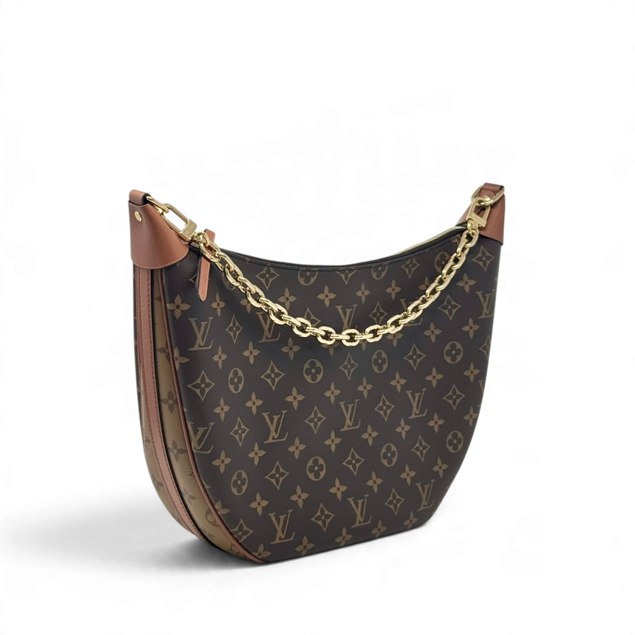Louis Vuitton Monogram Loop Hobo