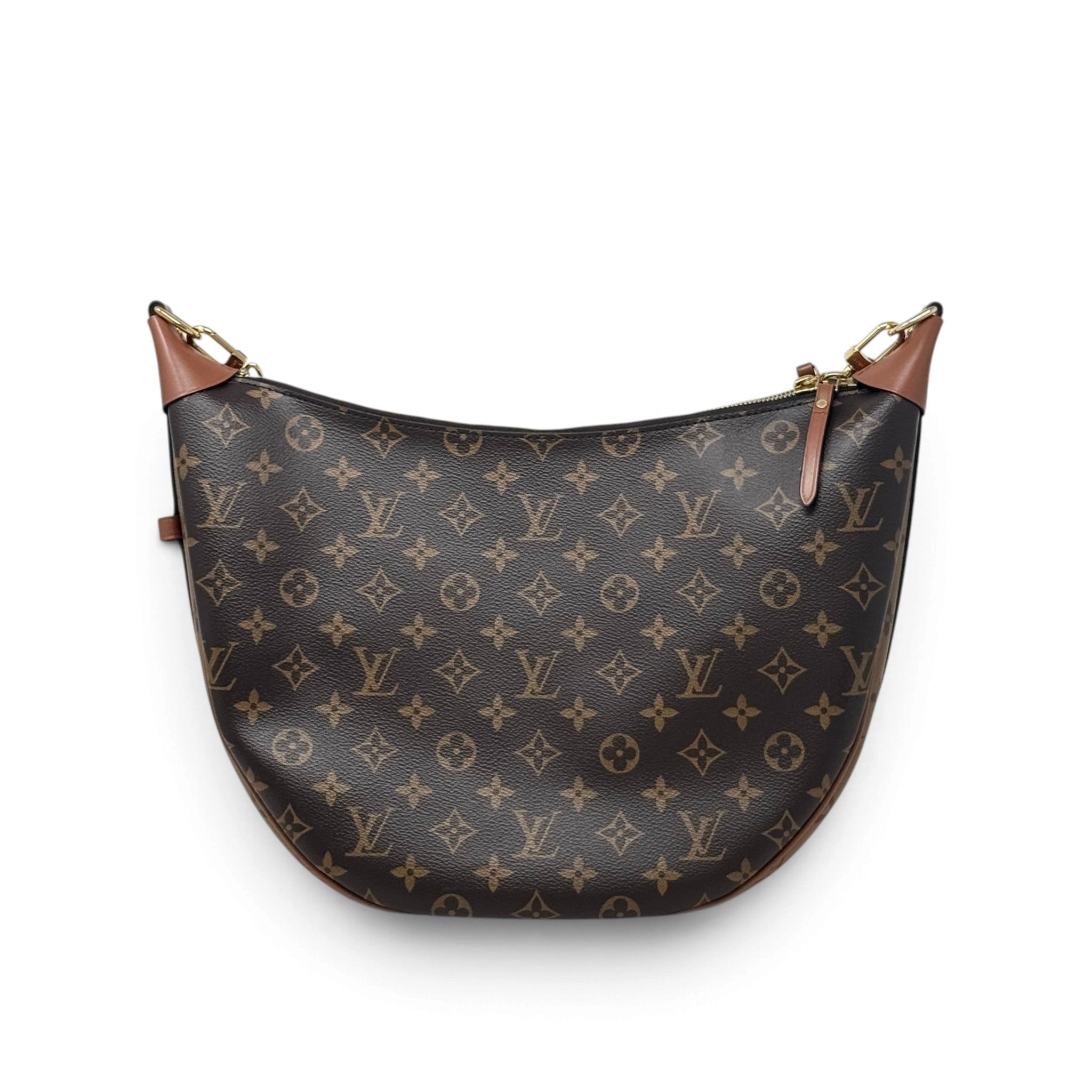 Louis Vuitton Monogram Loop Hobo