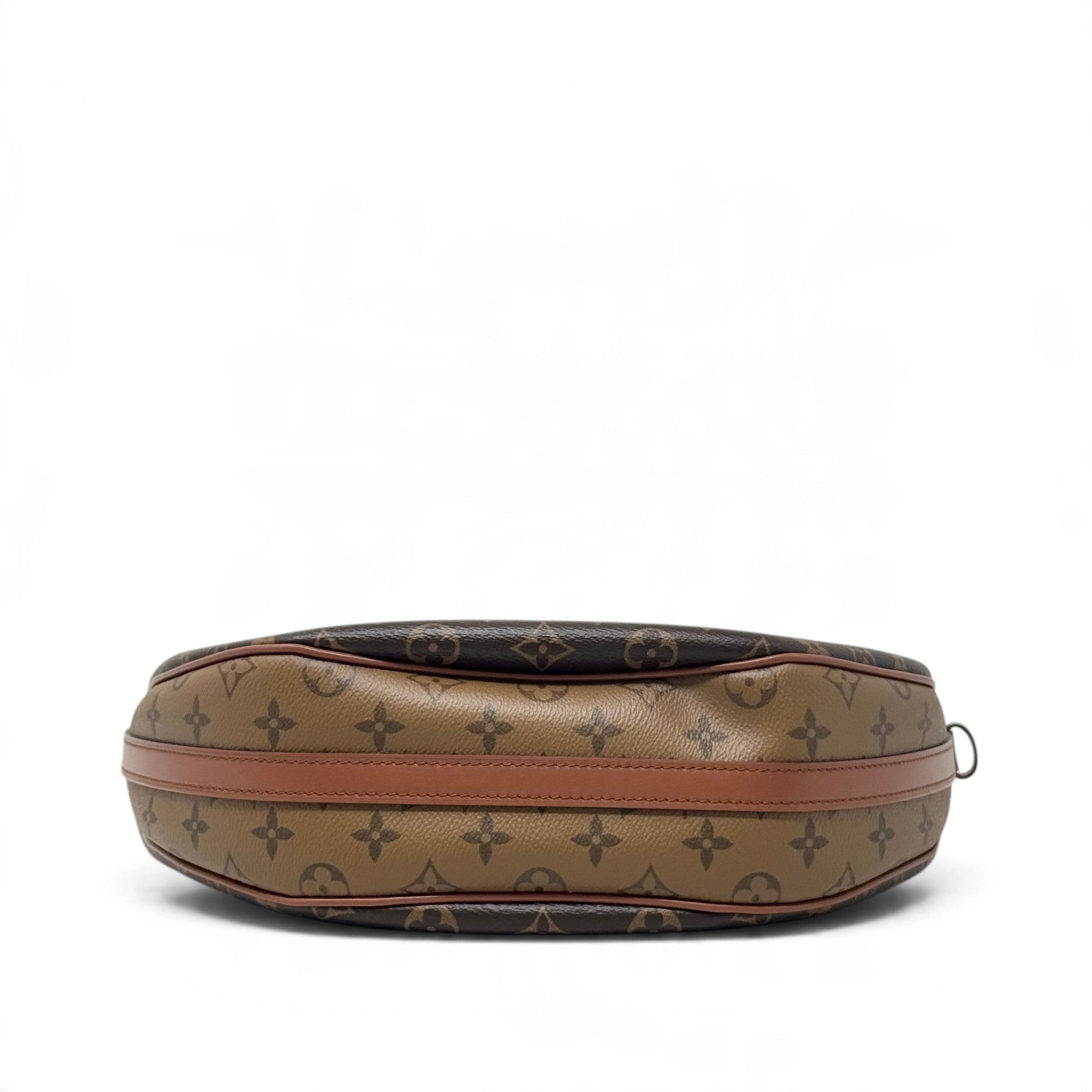 Louis Vuitton Monogram Loop Hobo