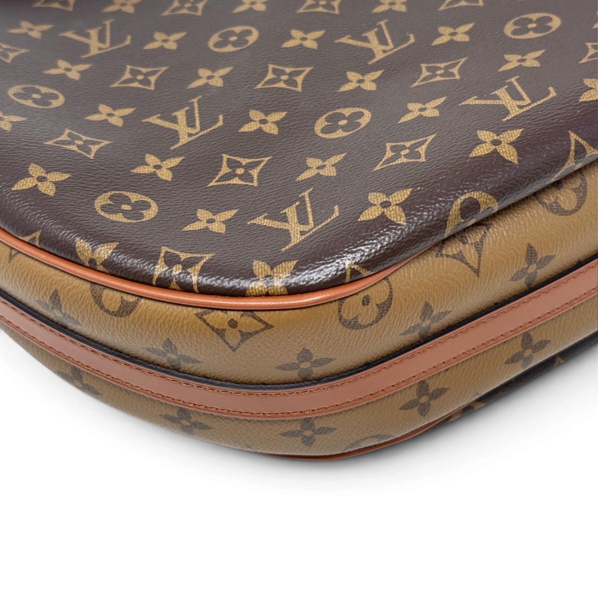 Louis Vuitton Monogram Loop Hobo