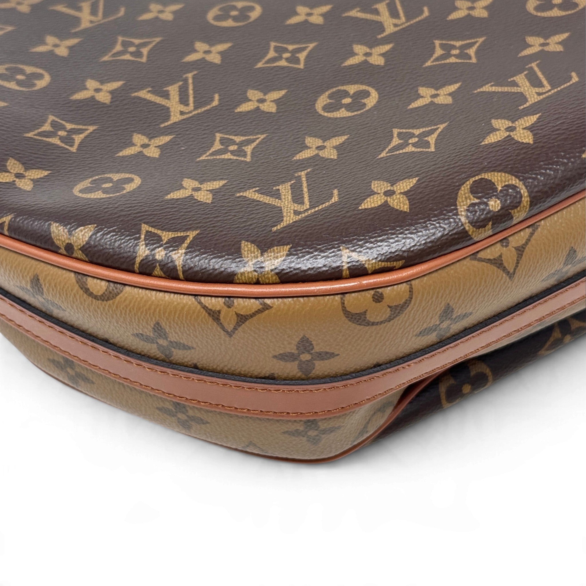 Louis Vuitton Monogram Loop Hobo