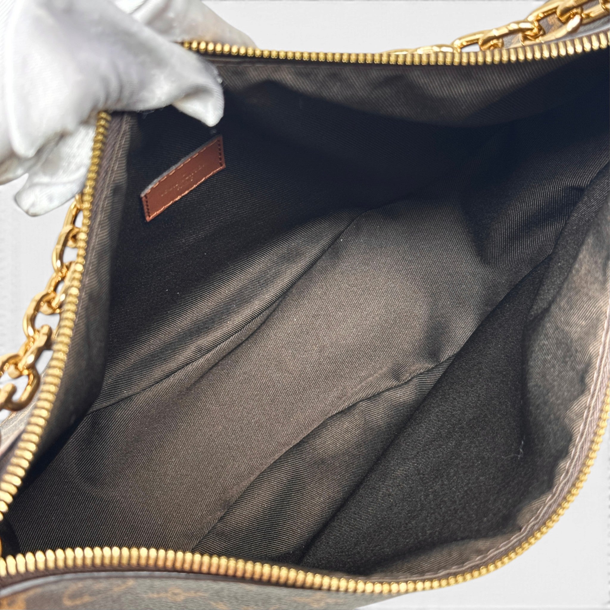 Louis Vuitton Monogram Loop Hobo