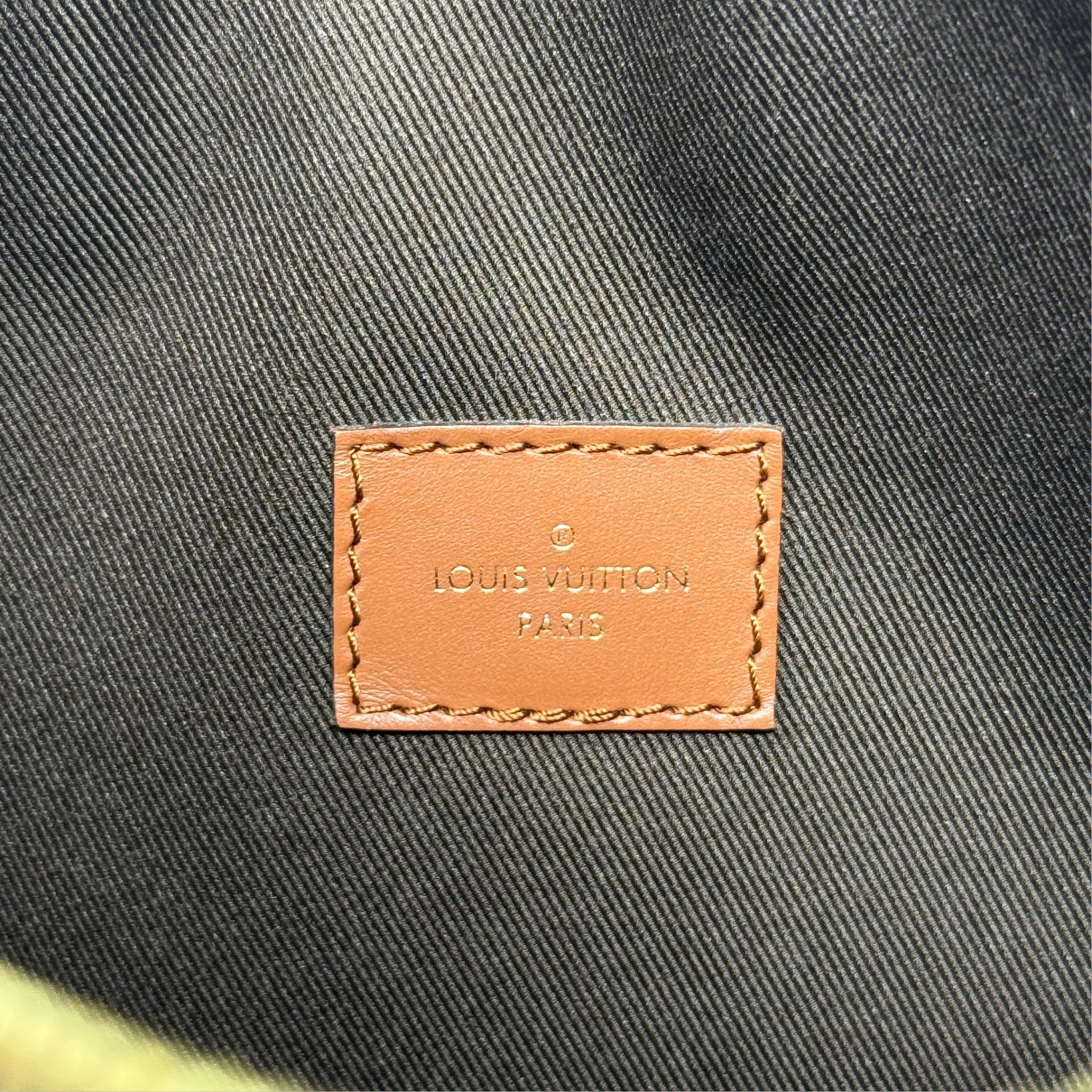 Louis Vuitton Monogram Loop Hobo