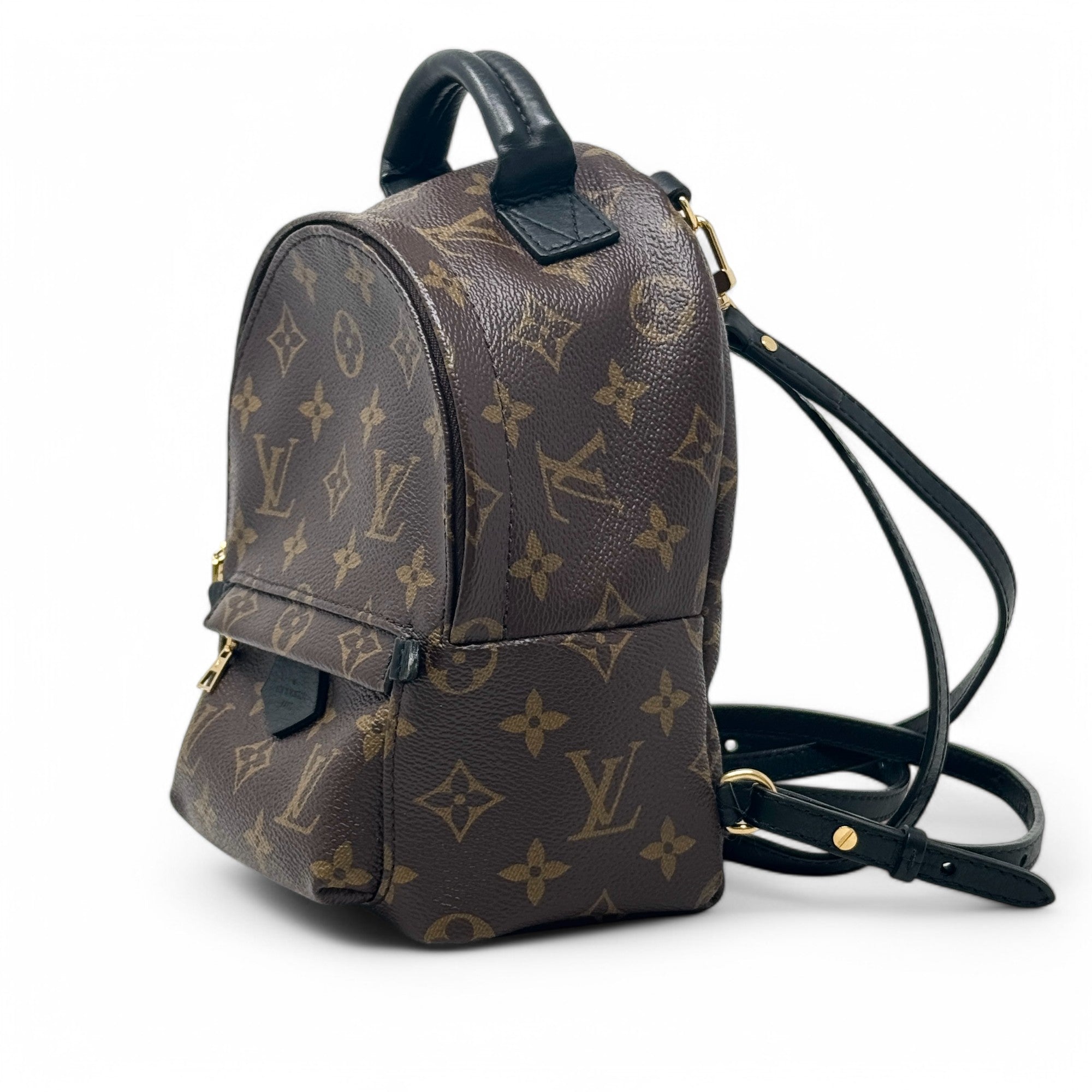 Louis Vuitton Monogram Palm Springs Mini