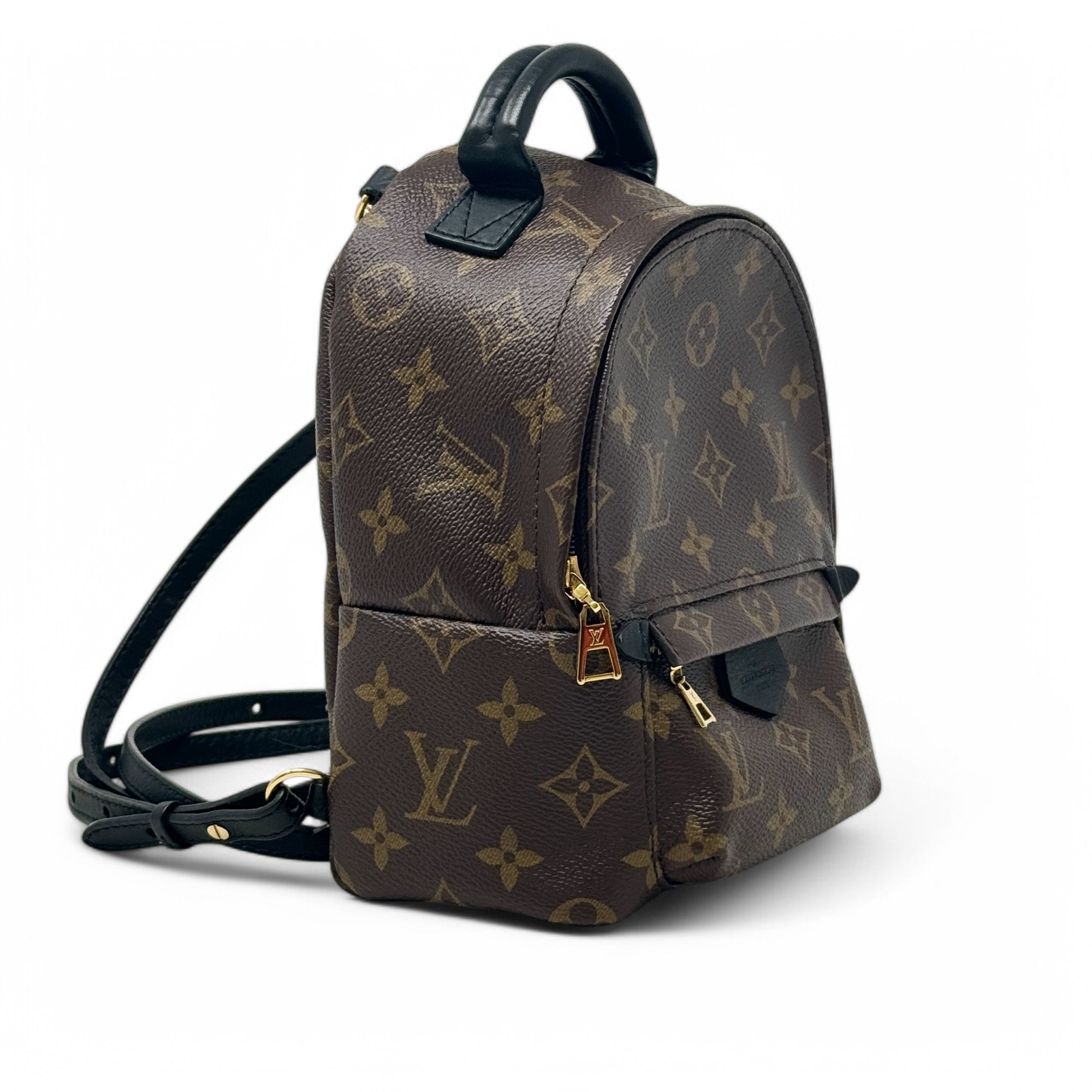 Louis Vuitton Monogram Palm Springs Mini