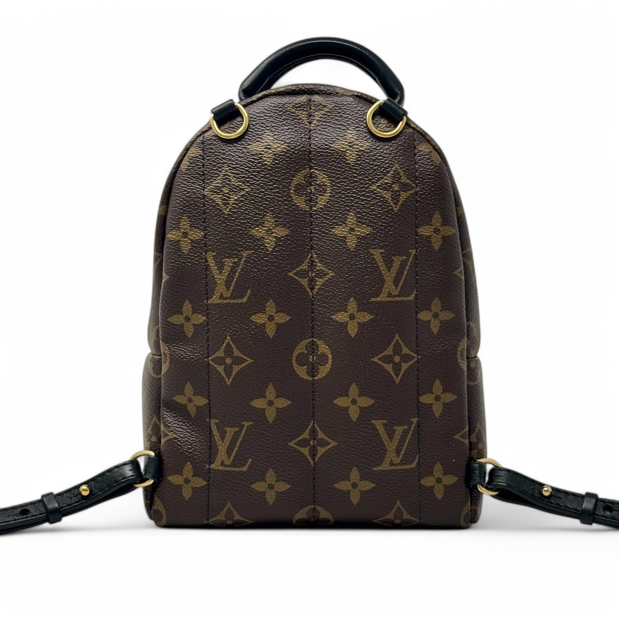 Louis Vuitton Monogram Palm Springs Mini