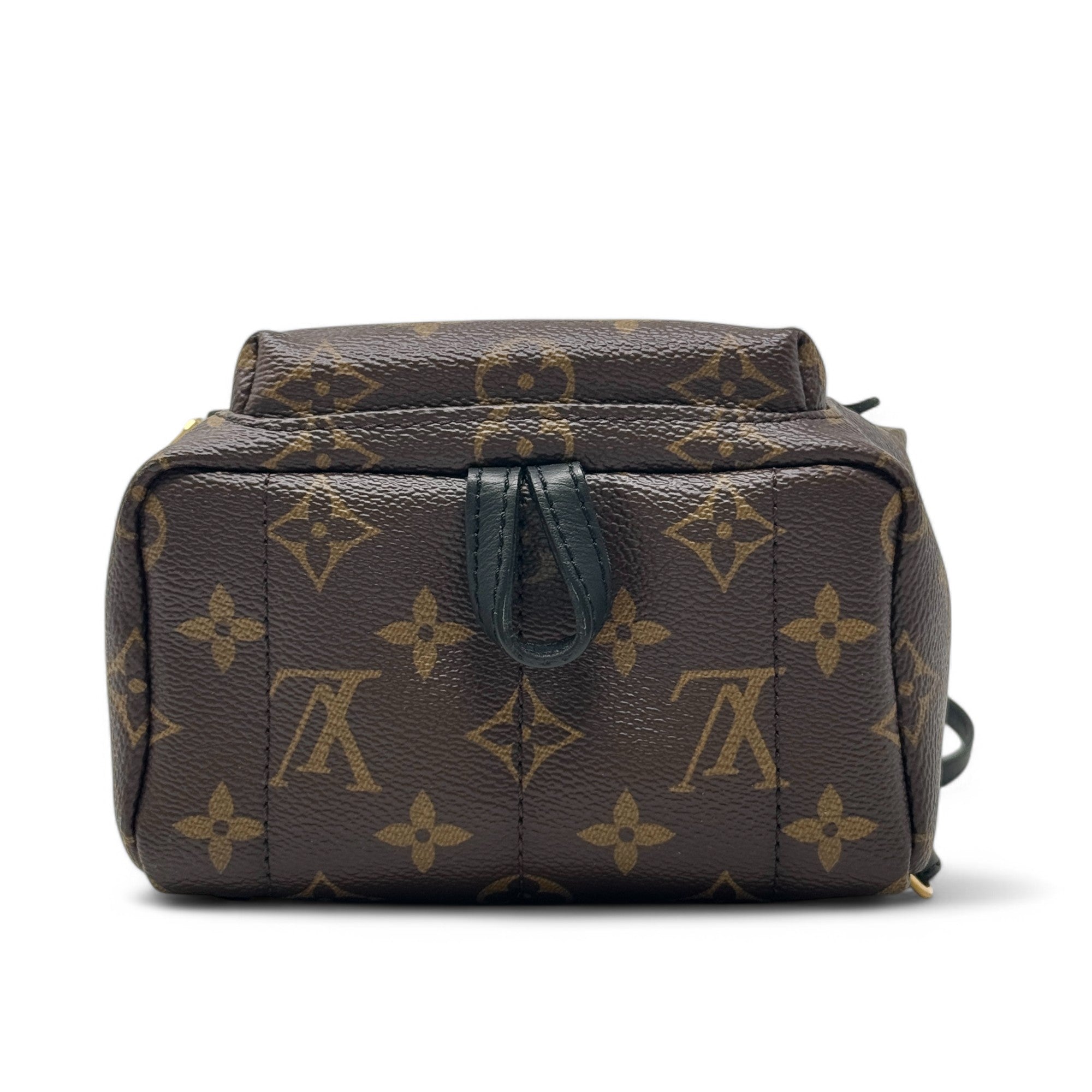 Louis Vuitton Monogram Palm Springs Mini