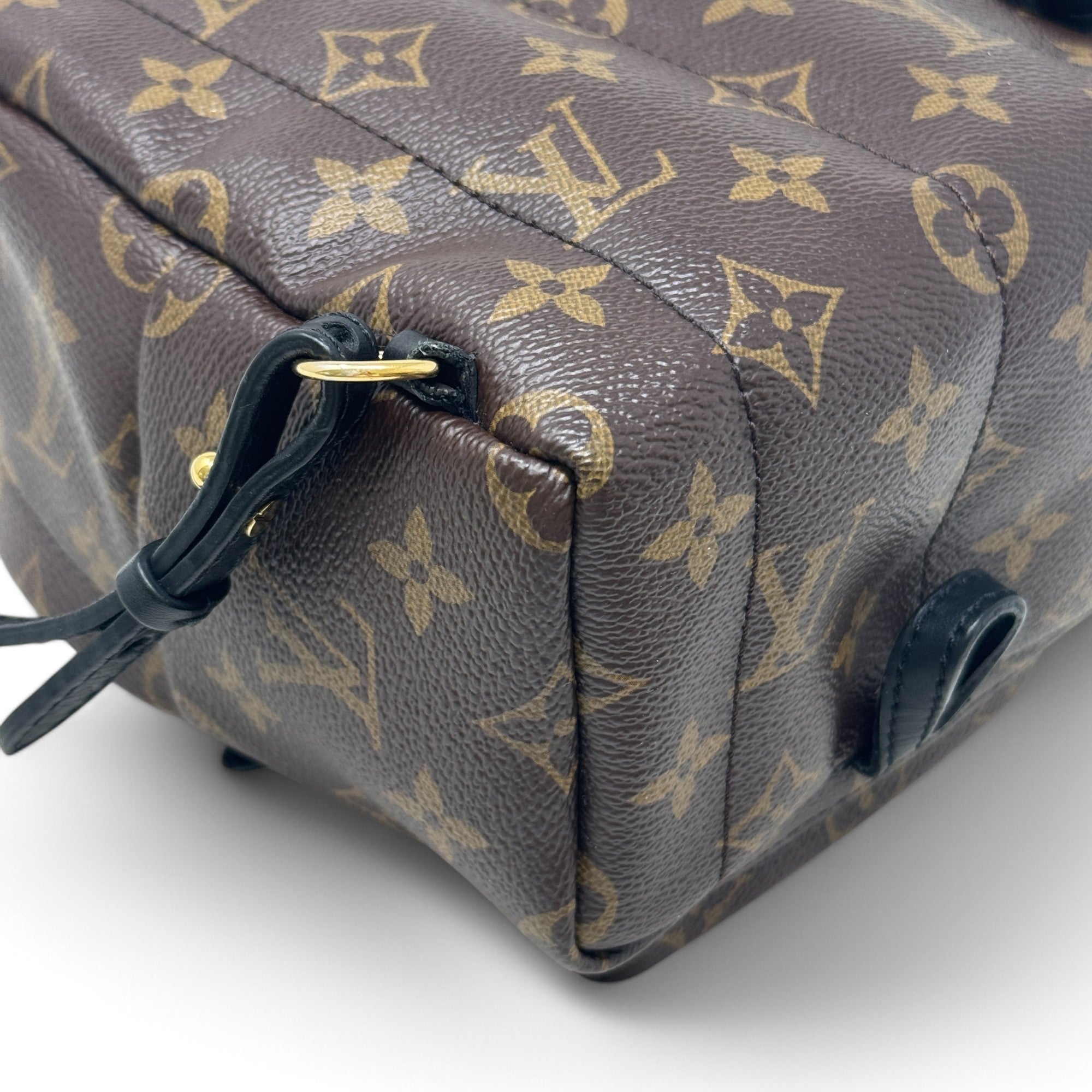 Louis Vuitton Monogram Palm Springs Mini