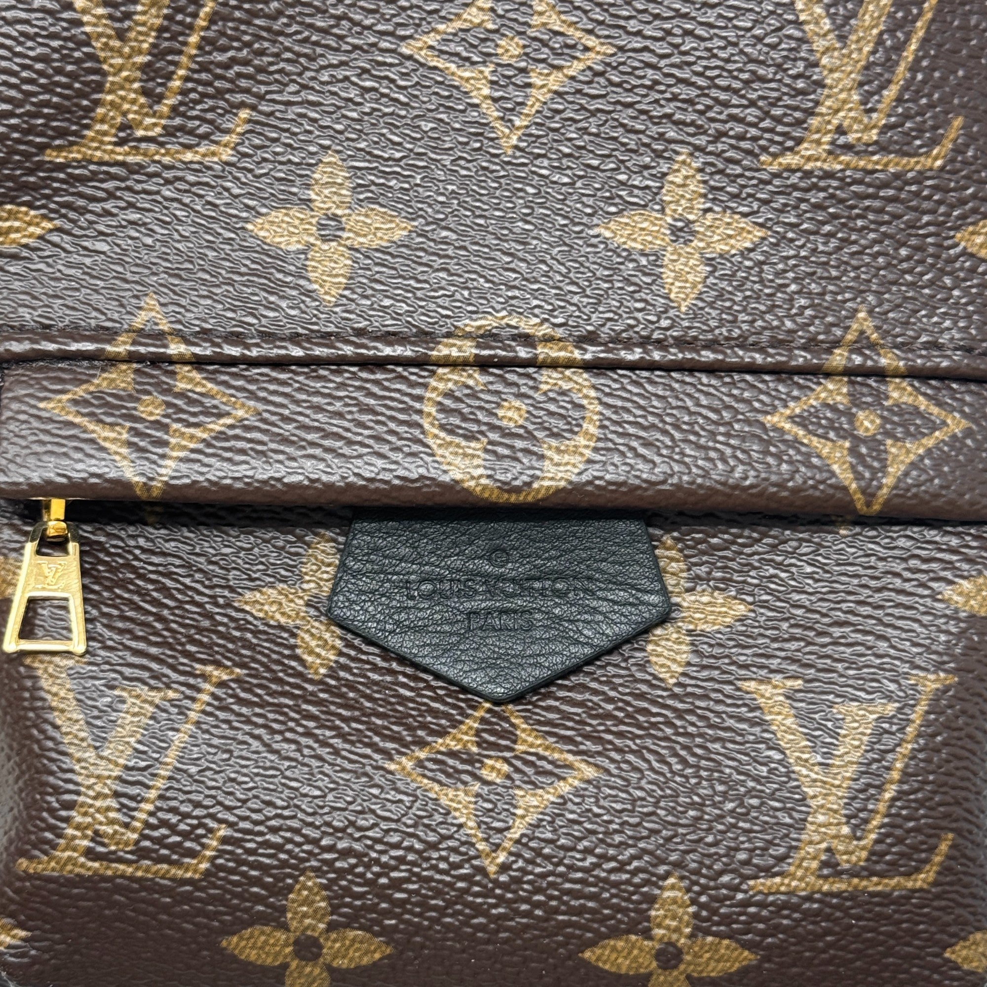 Louis Vuitton Monogram Palm Springs Mini