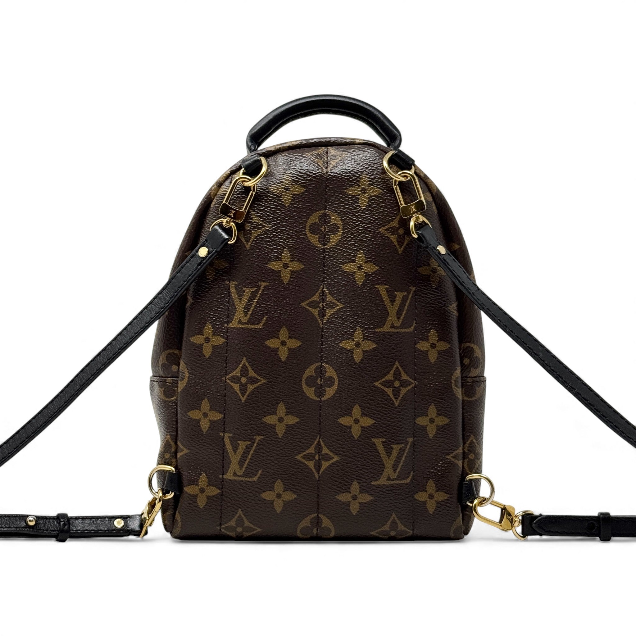 Louis Vuitton Monogram Mini Palm Strings