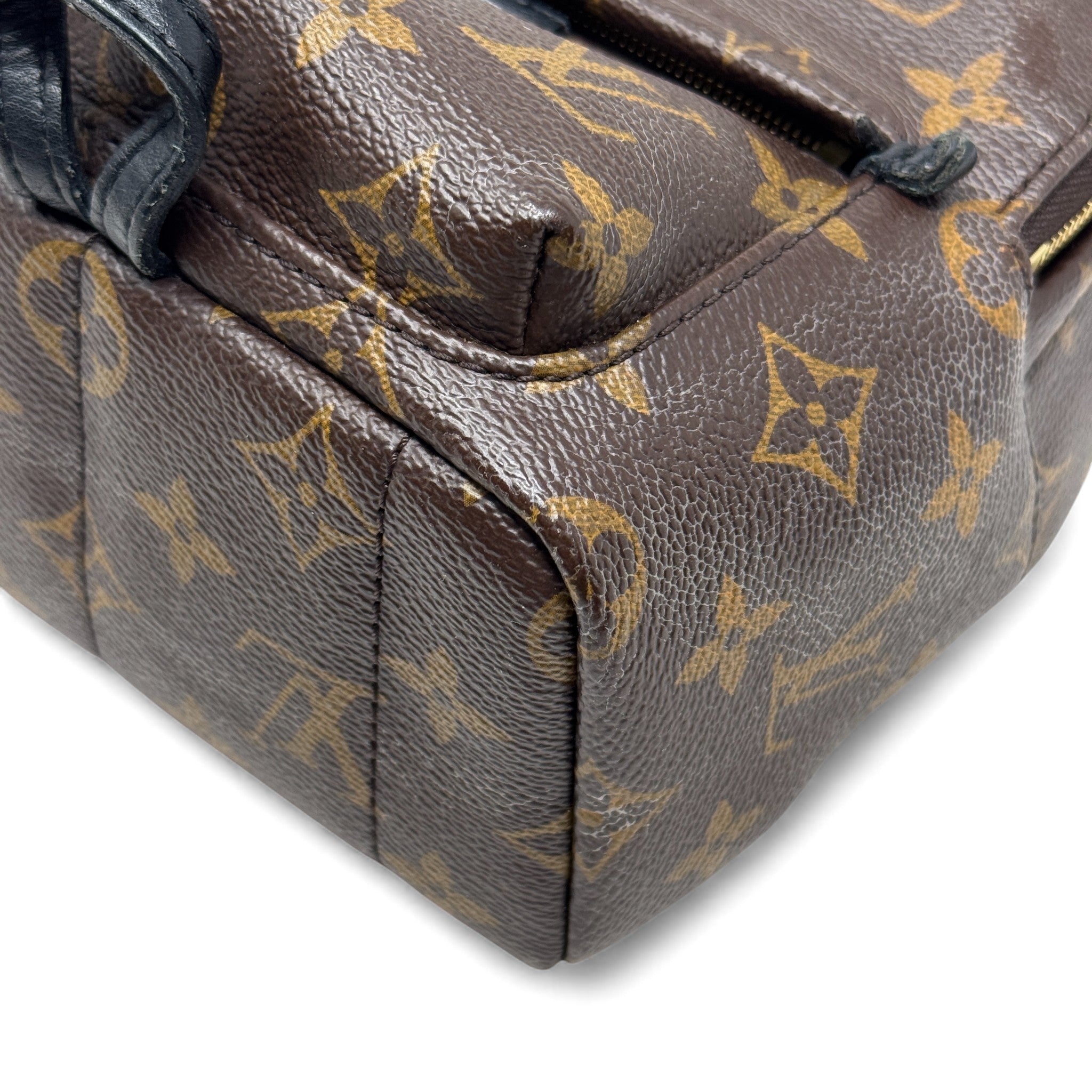 Louis Vuitton Monogram Mini Palm Strings