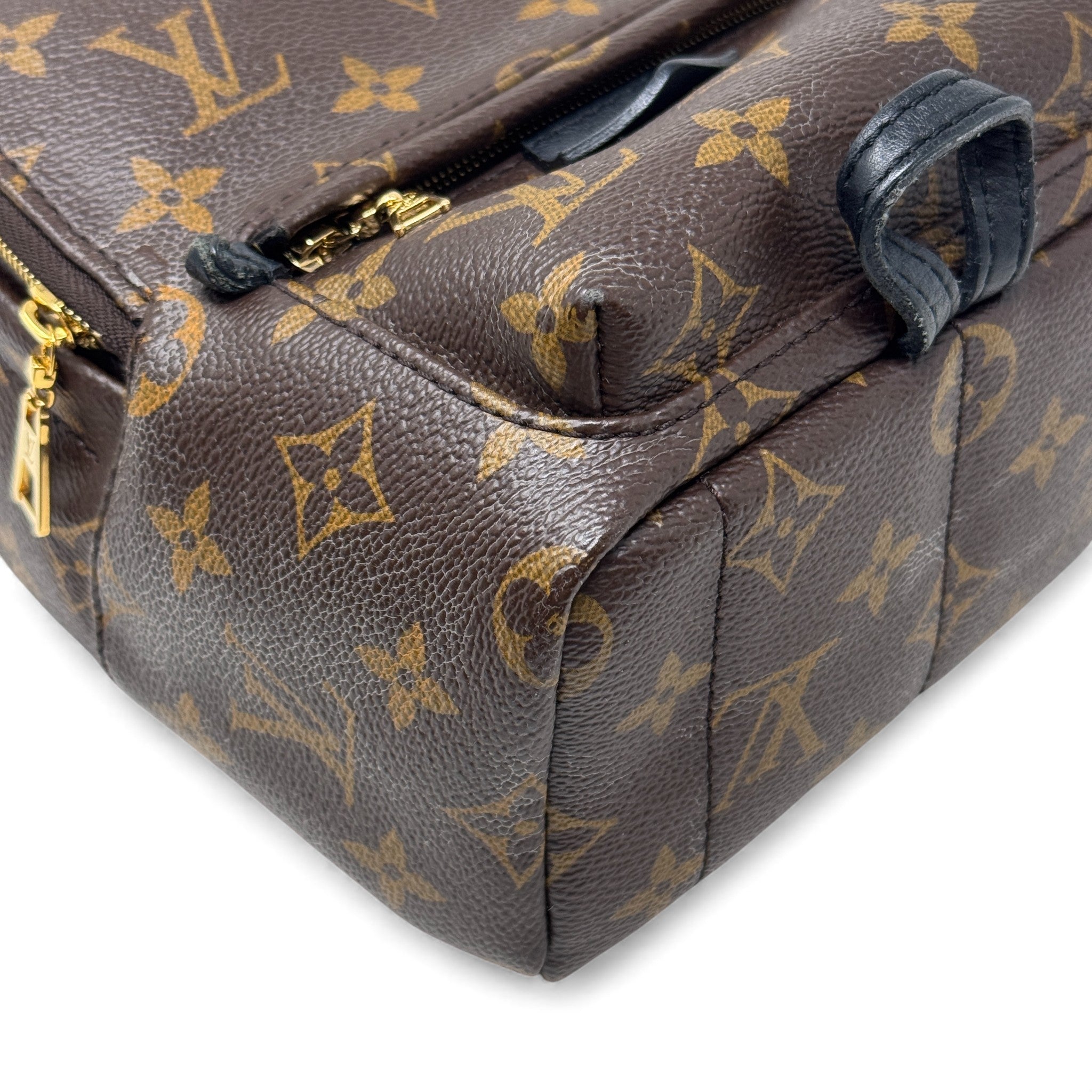 Louis Vuitton Monogram Mini Palm Strings