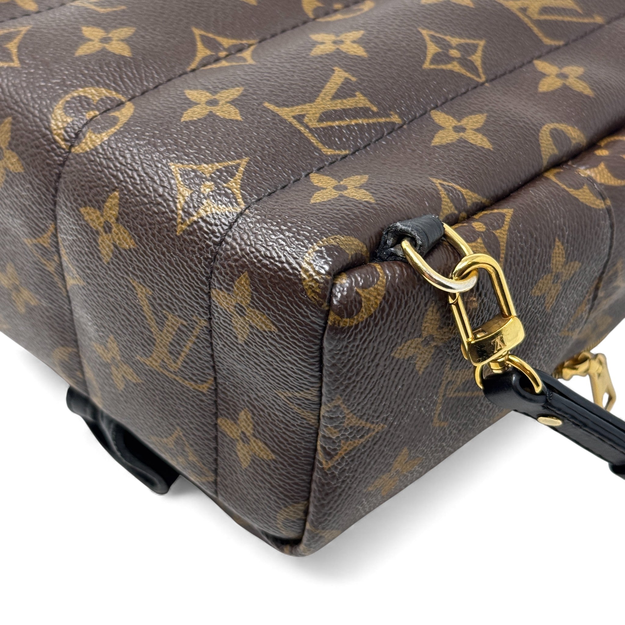 Louis Vuitton Monogram Mini Palm Strings